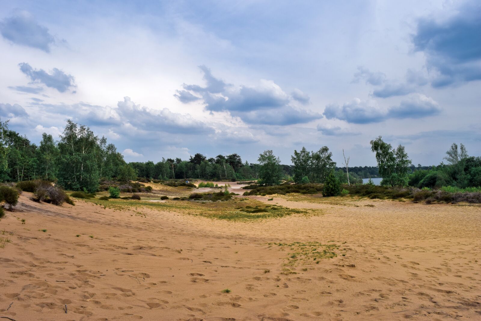 Nikon D3300 sample photo. Landscape, dunes, shifting sand photography