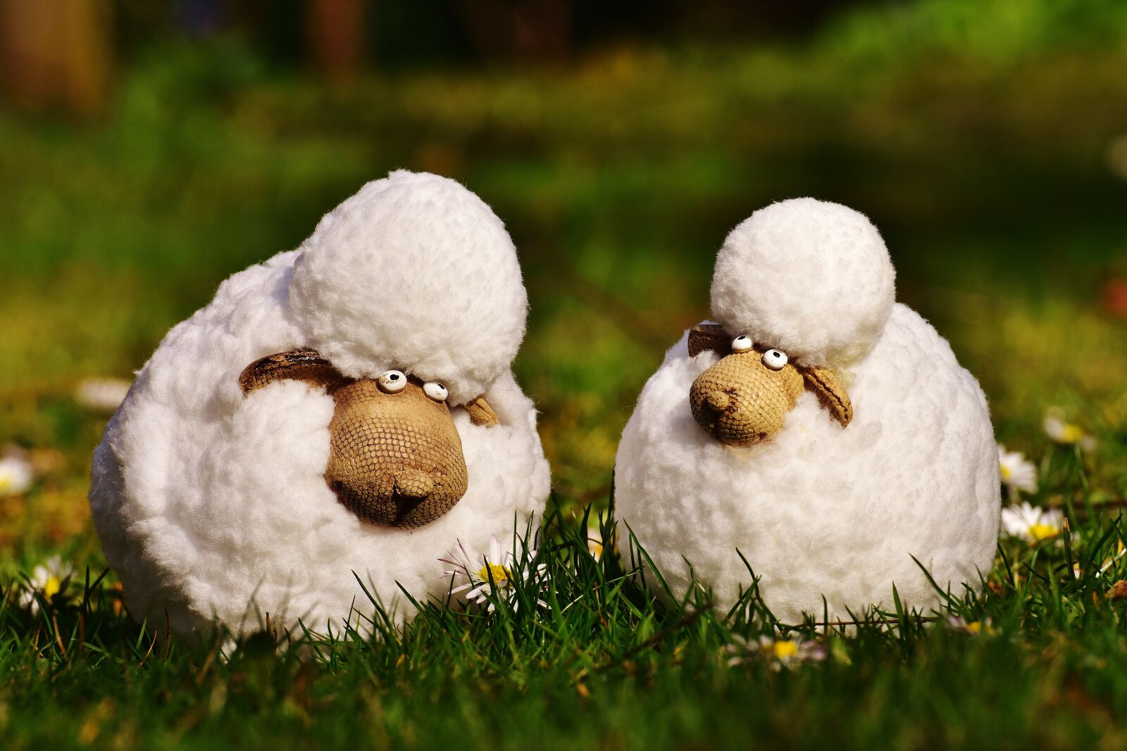 Nikon D7200 sample photo. Sheep, cute, meadow photography