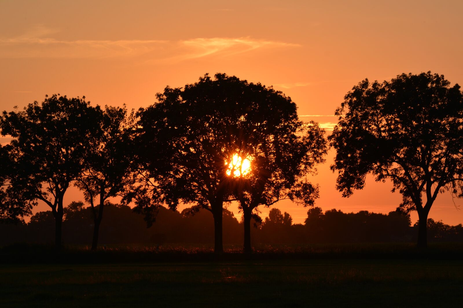 Nikon D5200 sample photo. Sunset, rheiderland include a photography