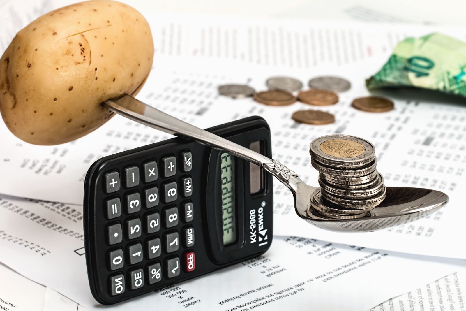 Canon EOS 70D sample photo. Potato, spoon, money, calculator photography