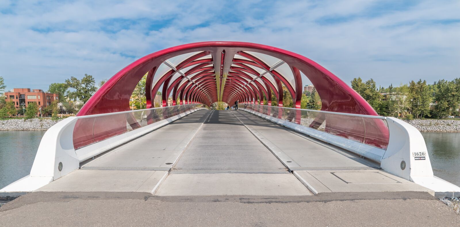 Nikon D5500 sample photo. Bridge, canada, peace bridge photography