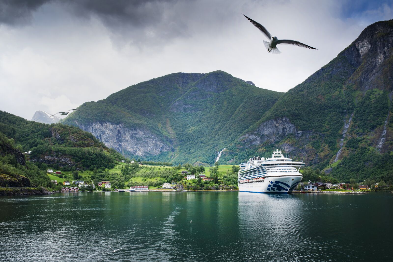Nikon D750 sample photo. Fjord, boat, cruise photography