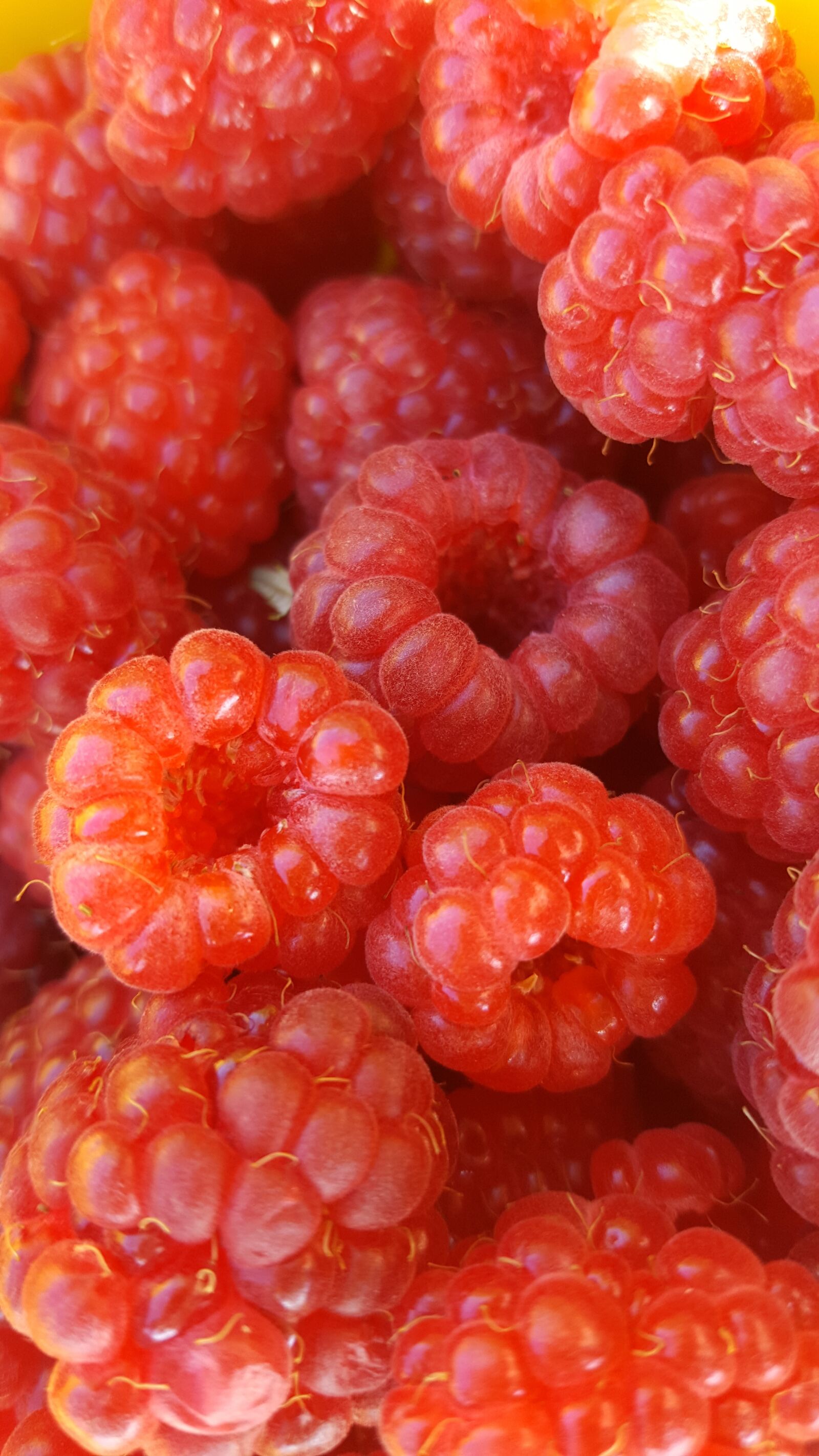 Samsung Galaxy S6 sample photo. Raspberries, berries, fruits photography