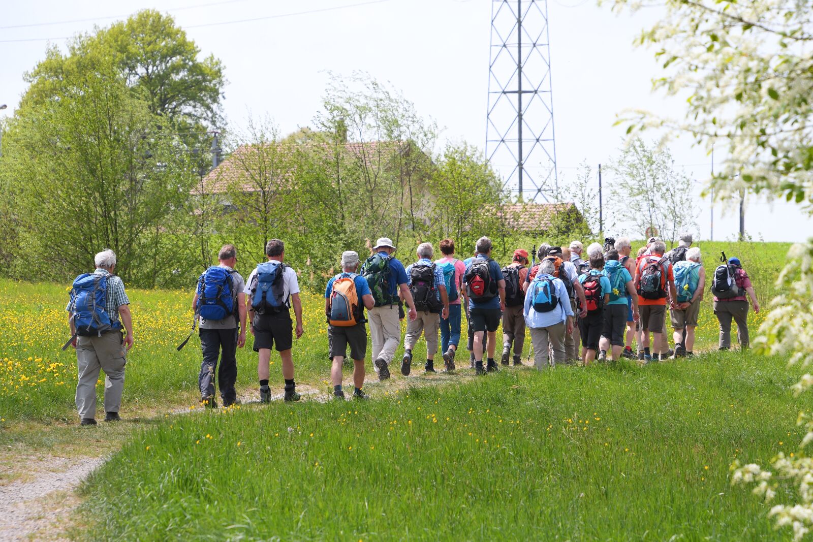 Nikon D500 sample photo. Human, hiking, group photography