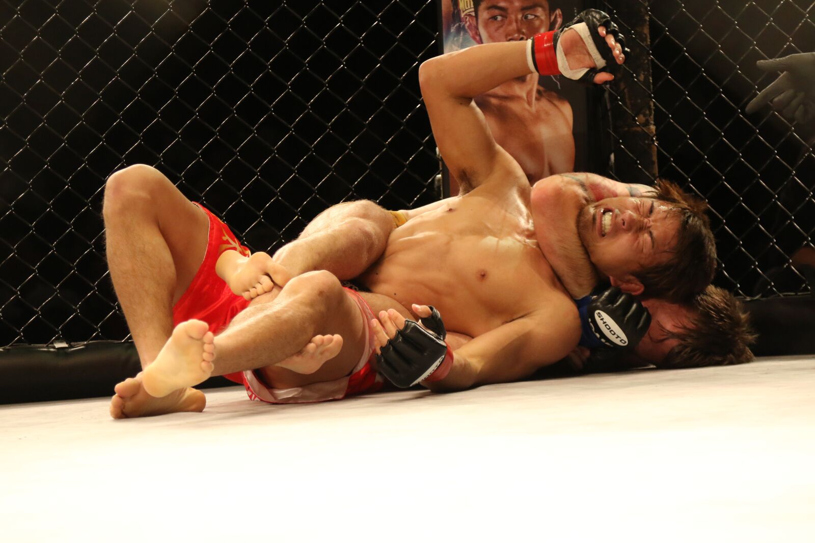 Canon EOS 7D Mark II sample photo. Mma, mixed martial arts photography