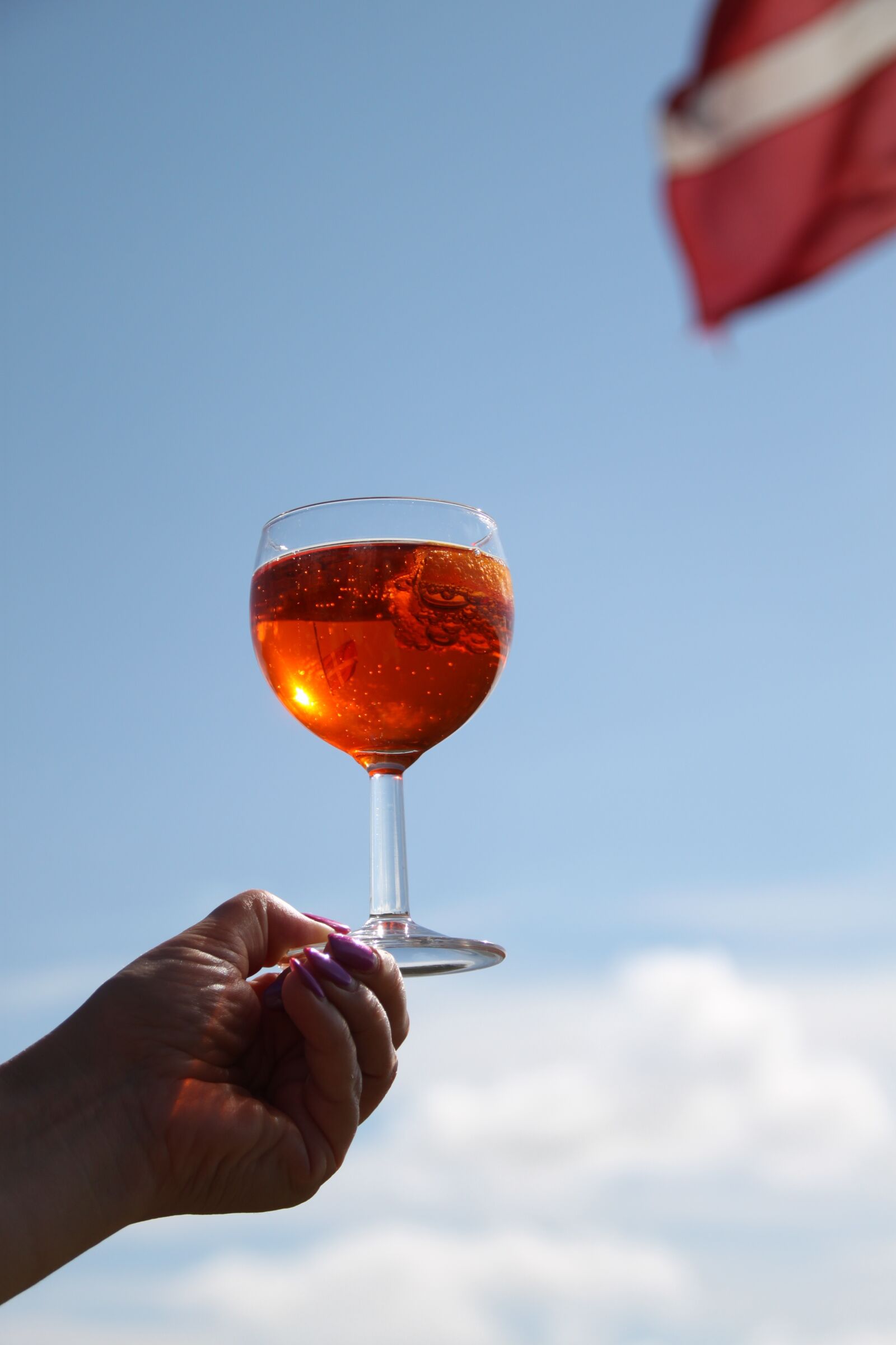 Canon EOS 500D (EOS Rebel T1i / EOS Kiss X3) sample photo. Wine, flag, vacations photography