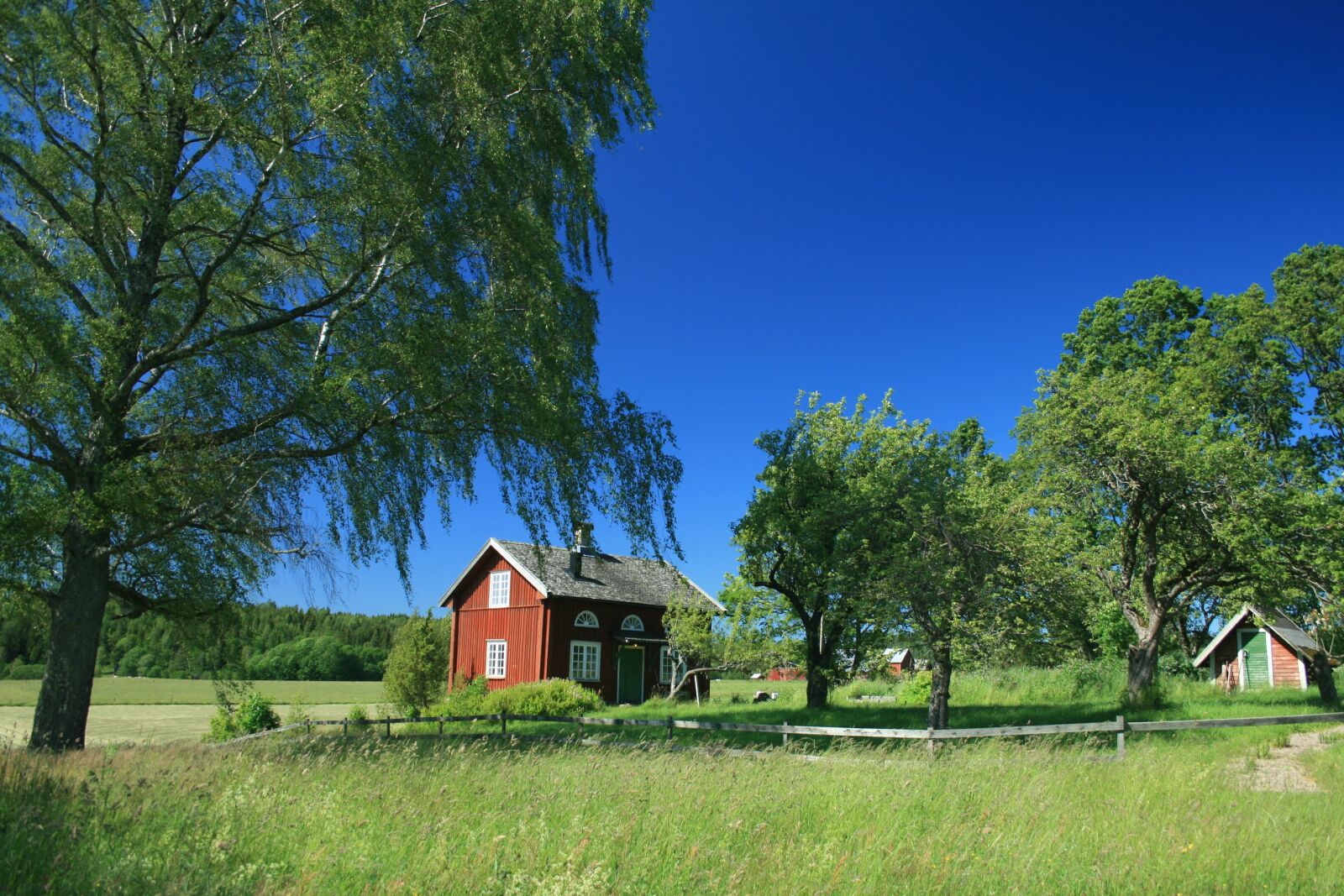 Canon EOS 400D (EOS Digital Rebel XTi / EOS Kiss Digital X) sample photo. Sweden, blue sky, landscape photography