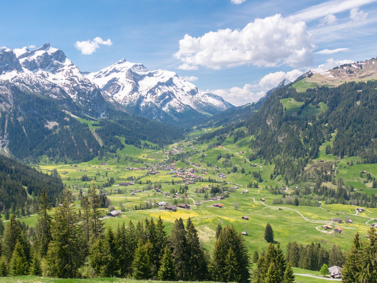 Panasonic DMC-G81 sample photo. Bernese oberland, saanenland, switzerland photography