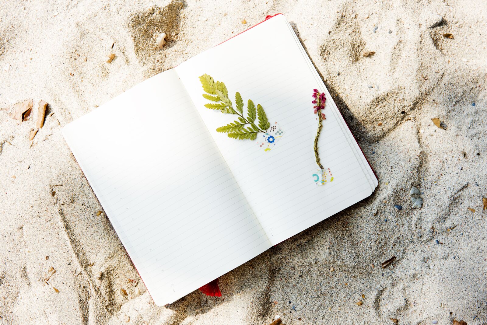Nikon D810 sample photo. Beach, coast, craft photography