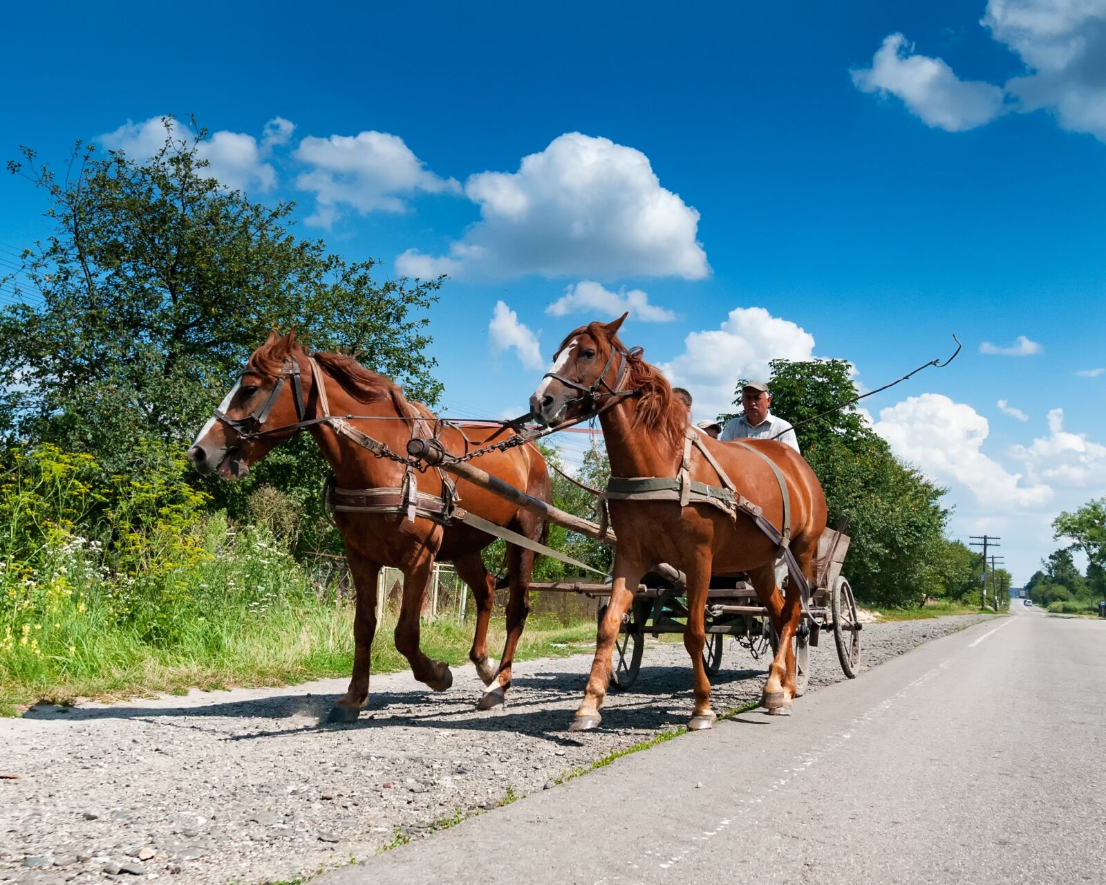 Nikon D300S sample photo. Horses, coach, road photography