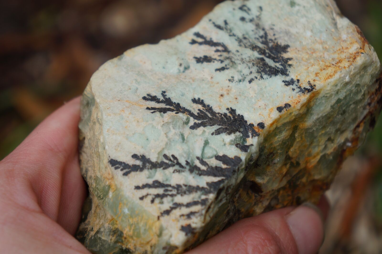 Sony Alpha a3000 + Sony E 18-55mm F3.5-5.6 OSS sample photo. Nature, dendritic agate, agate photography