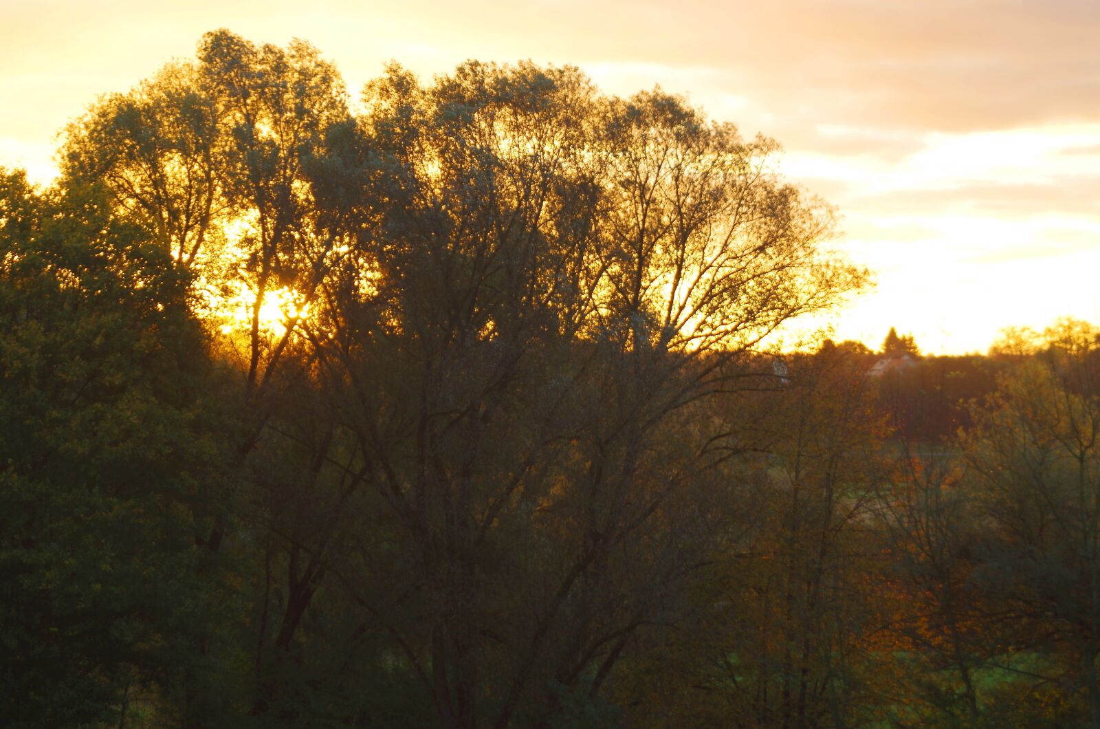 Pentax K-50 sample photo. Sunrise, autumn, landscape photography