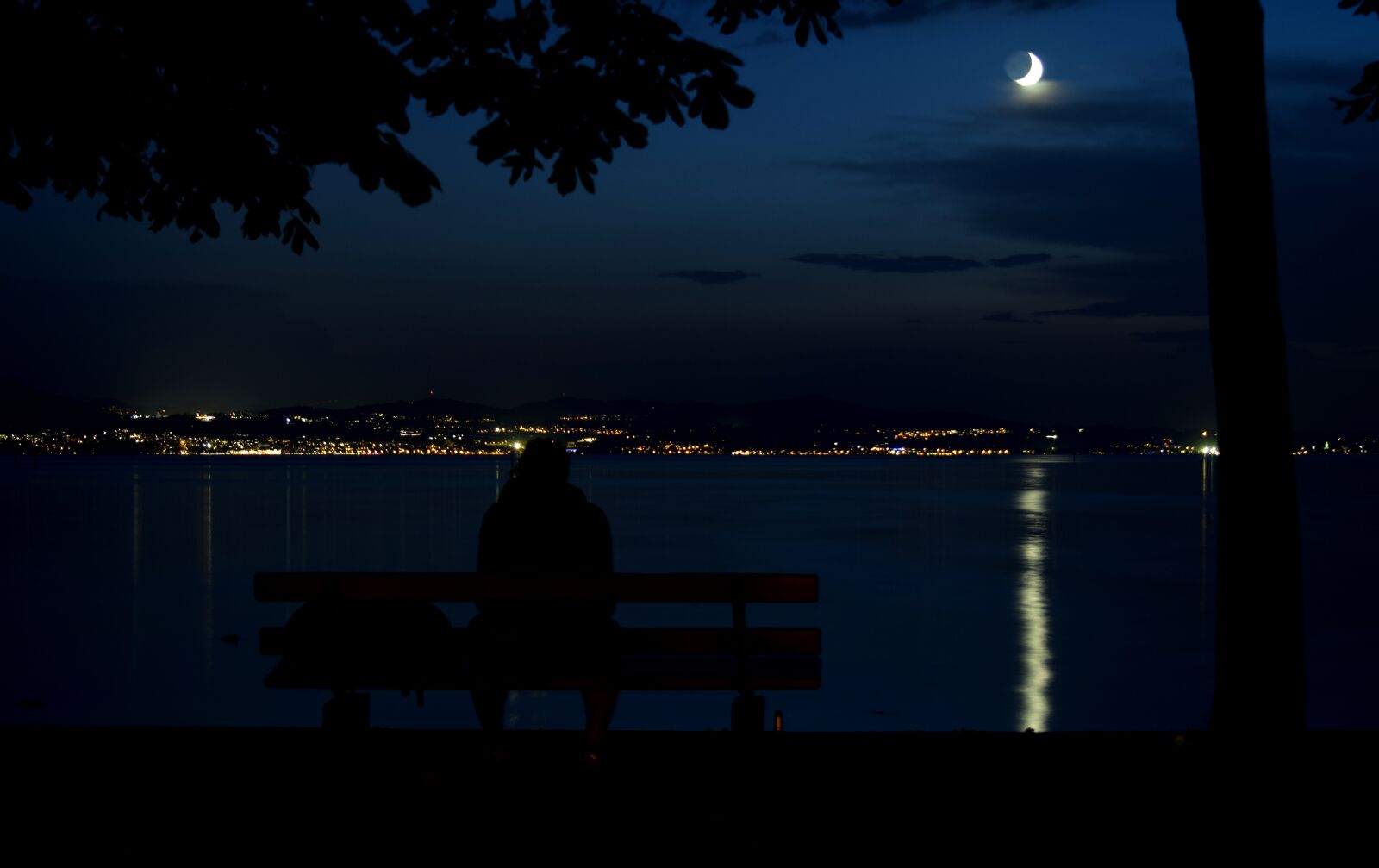 Nikon D5300 sample photo. Night, lake constance, moon photography