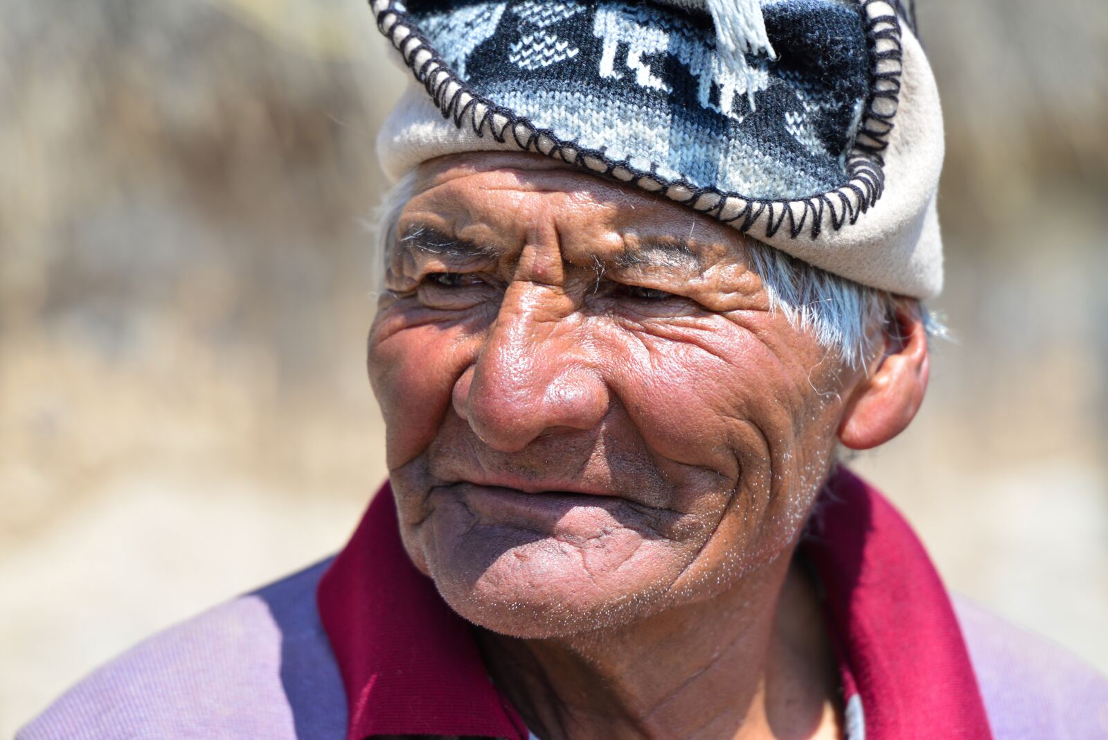Nikon D610 sample photo. Chile, ande, civilization photography