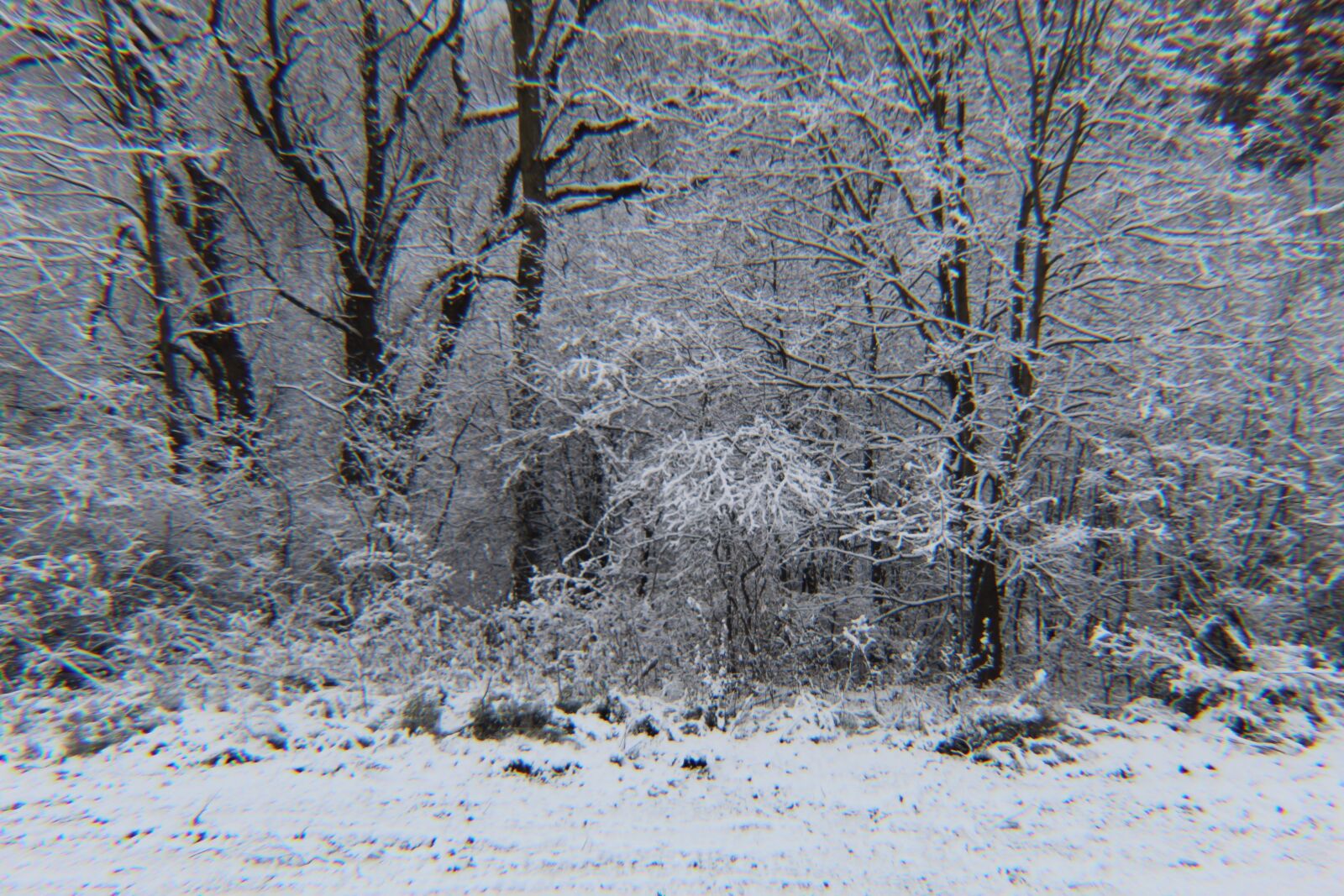 Canon EOS 1300D (EOS Rebel T6 / EOS Kiss X80) sample photo. Michigan winter, white, snow photography