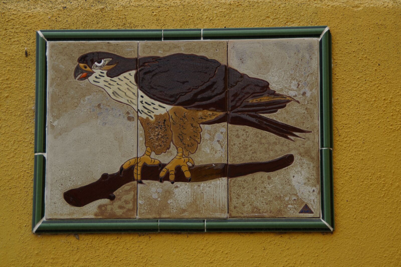 Sony SLT-A58 sample photo. Buzzard, bird, image photography