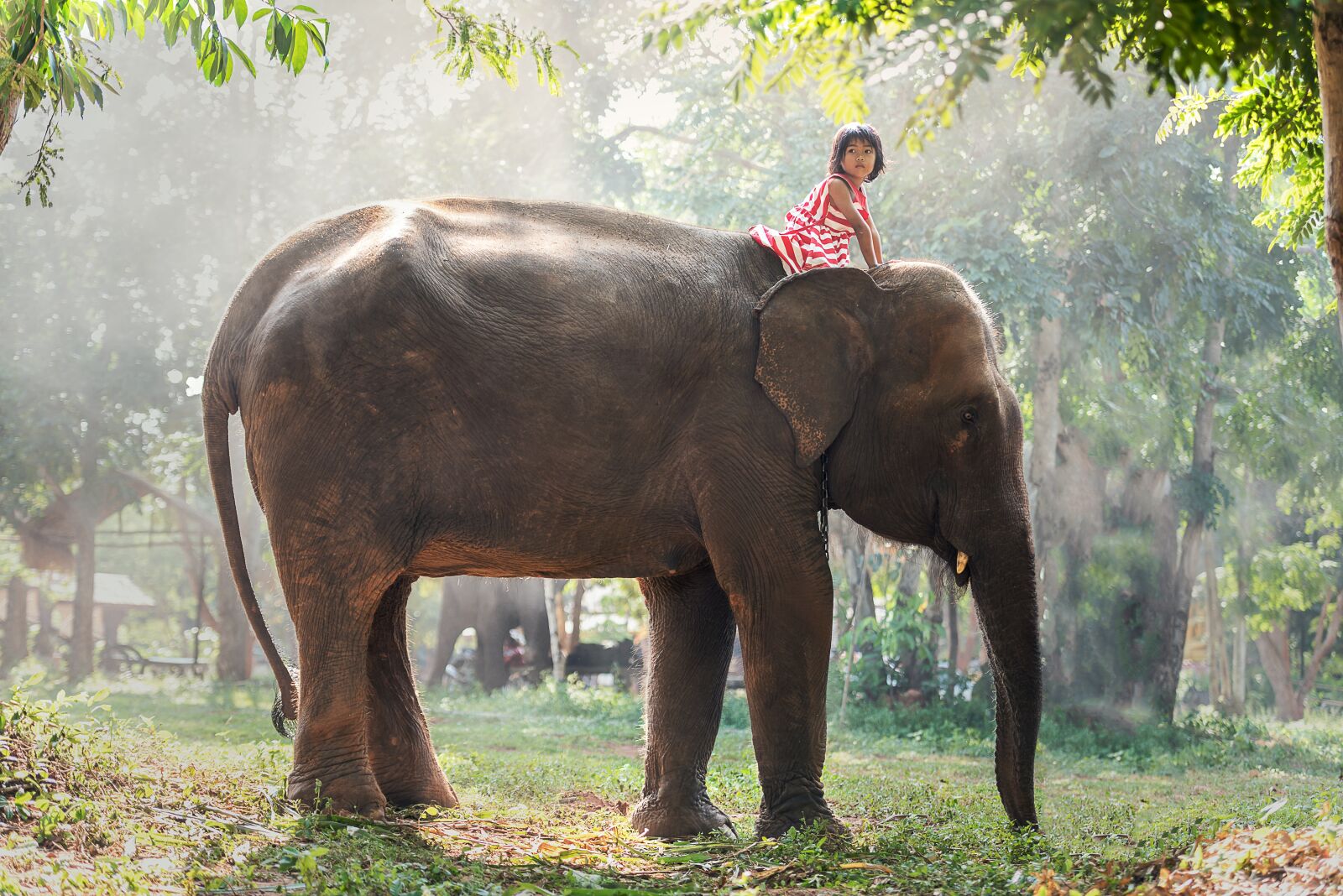 Nikon D810 sample photo. Kids, africa, animals photography