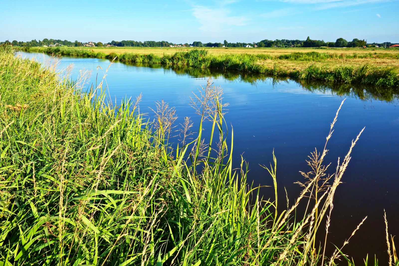 Sony Cyber-shot DSC-RX100 sample photo. Waterway, grassy banks, meadows photography