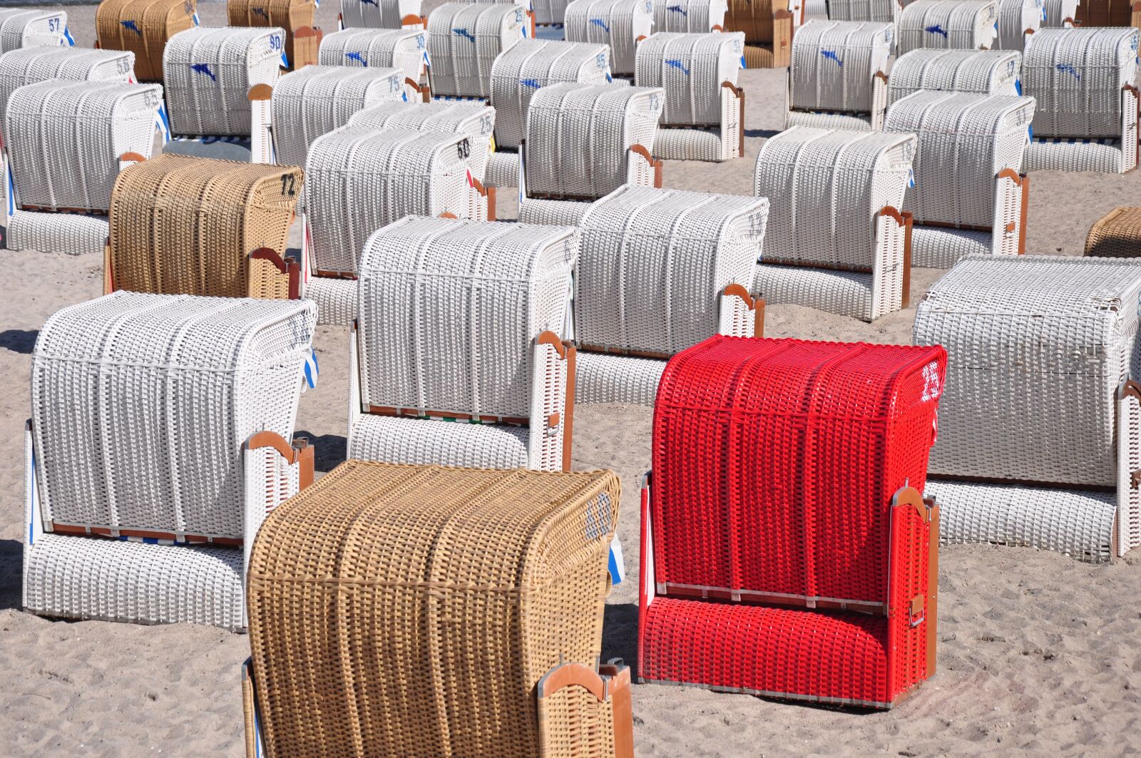 Nikon D90 sample photo. Clubs, baltic sea, beach photography