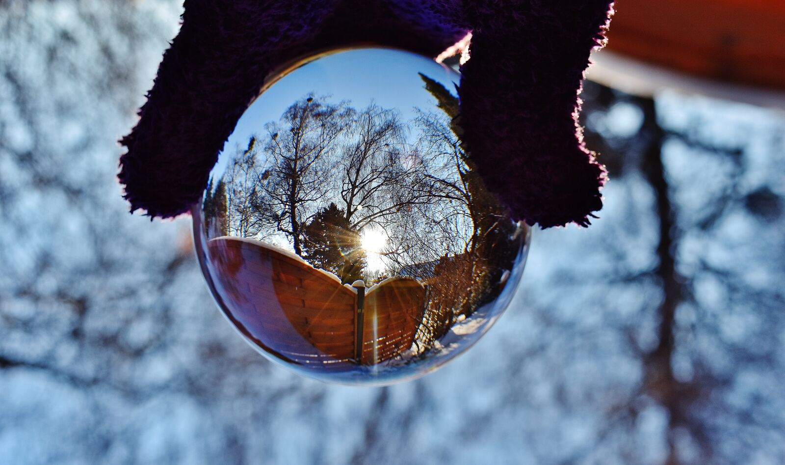 Nikon D7200 sample photo. Glass ball, mirroring, sun photography
