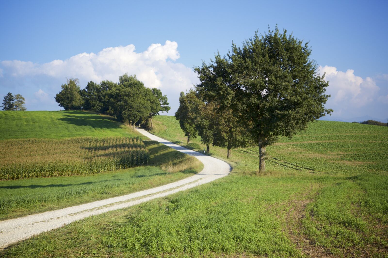 Canon EOS 5D Mark II sample photo. Away, nature, landscape photography