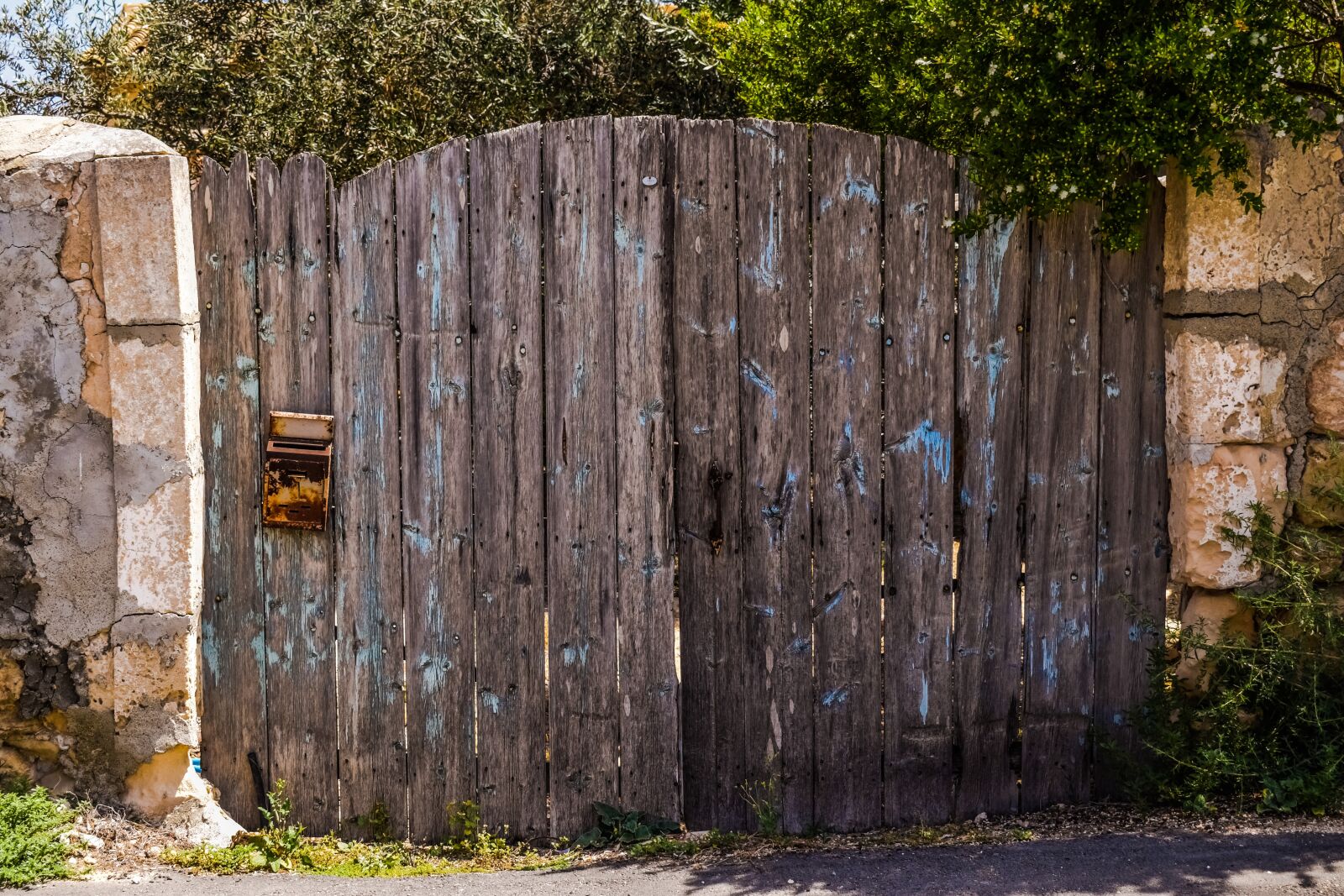 Nikon D3300 sample photo. Gate, wooden, old photography