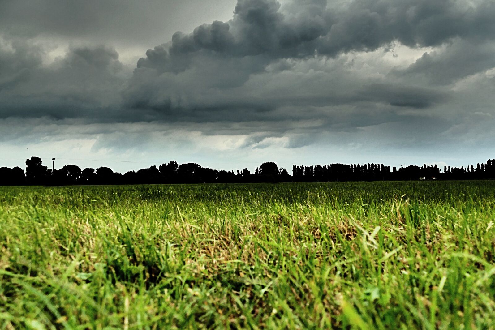 Panasonic Lumix DMC-FZ1000 sample photo. The clouds, clouds, sky photography