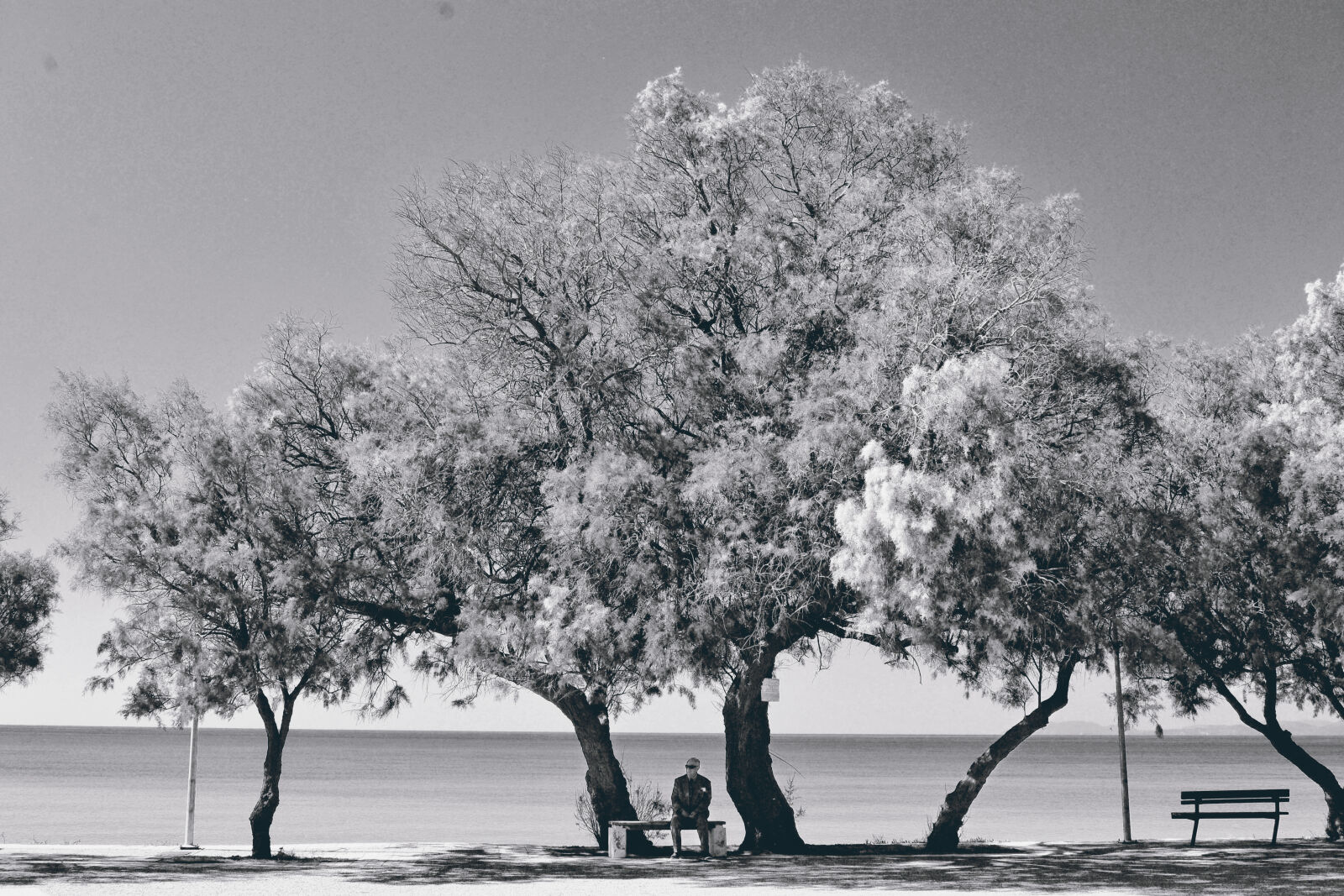 Nikon D3100 sample photo. Aegean, bench, black, black photography