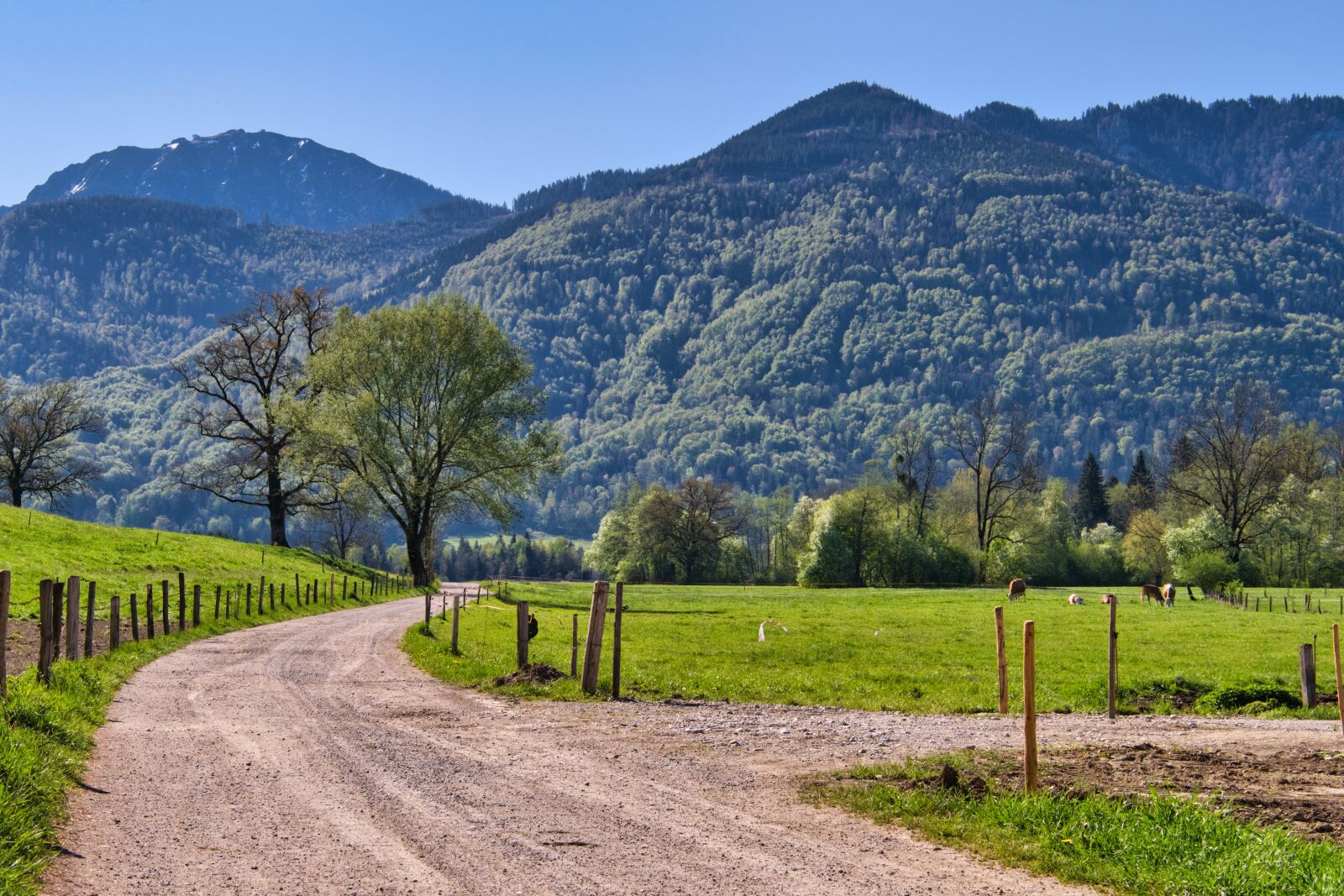 Nikon D7500 sample photo. Spring, landscape, chiemgau photography