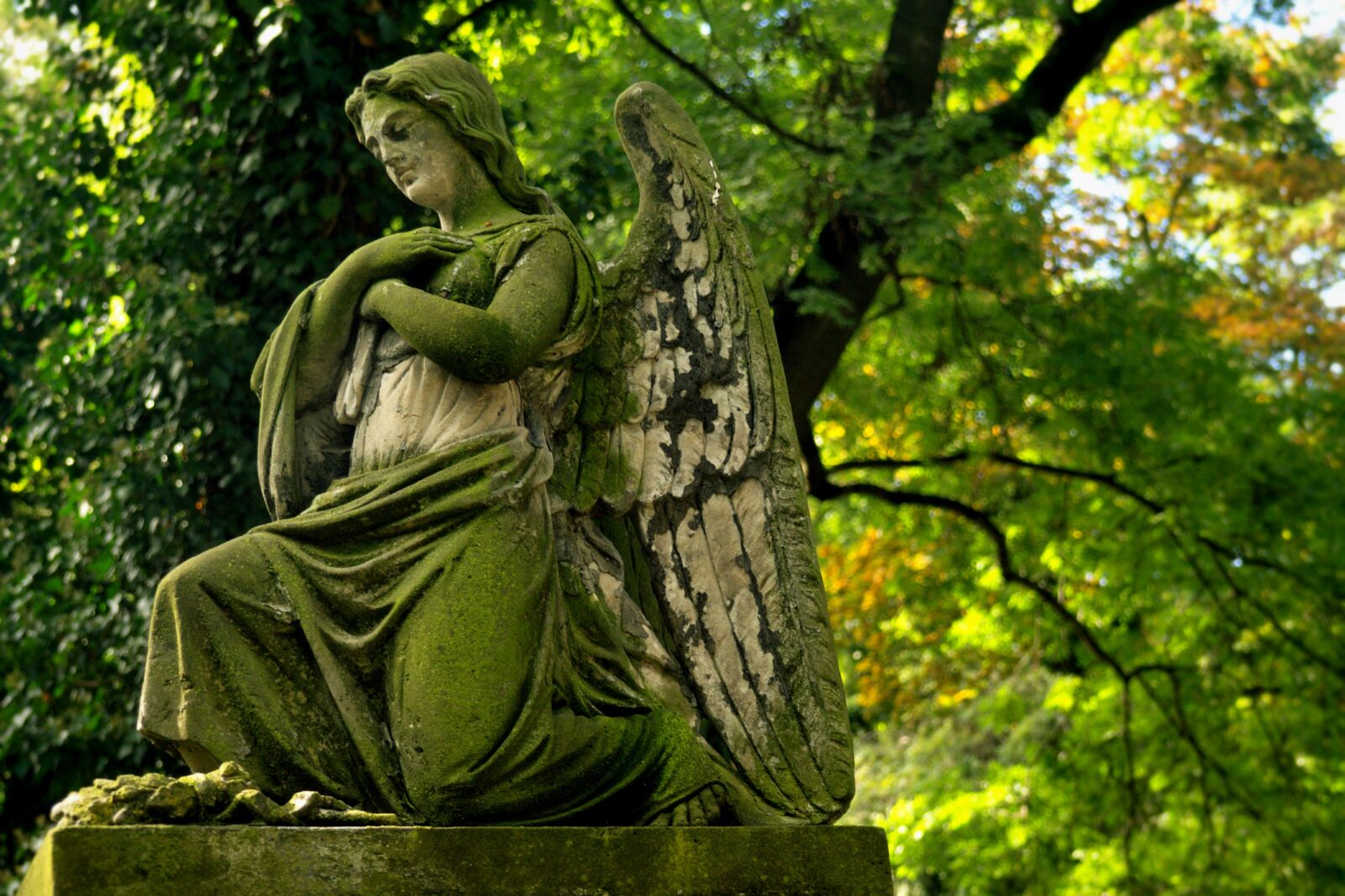 Olympus OM-D E-M10 sample photo. Statue, angel, stone photography
