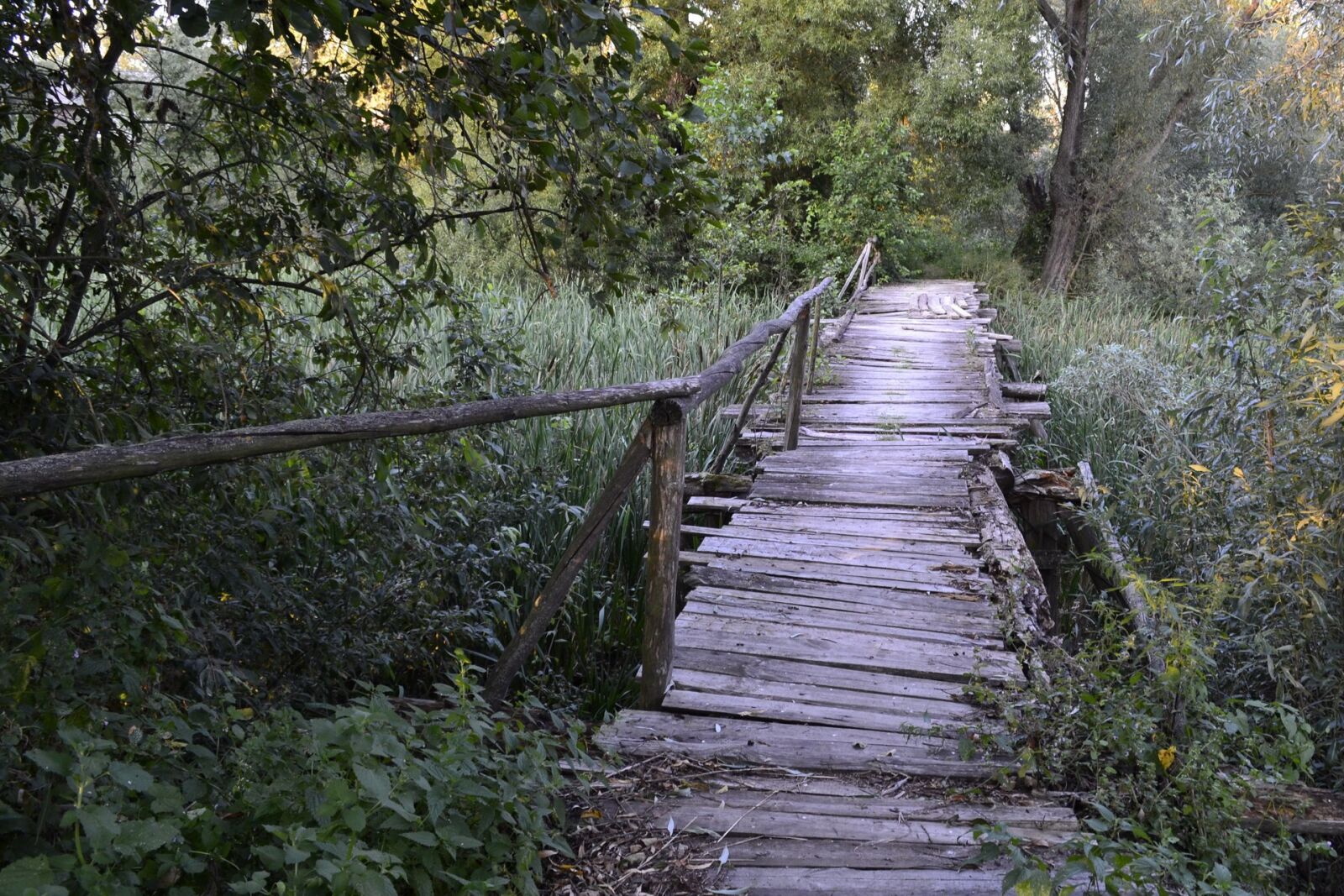 Nikon D3100 sample photo. Bridge, old, mouldering photography