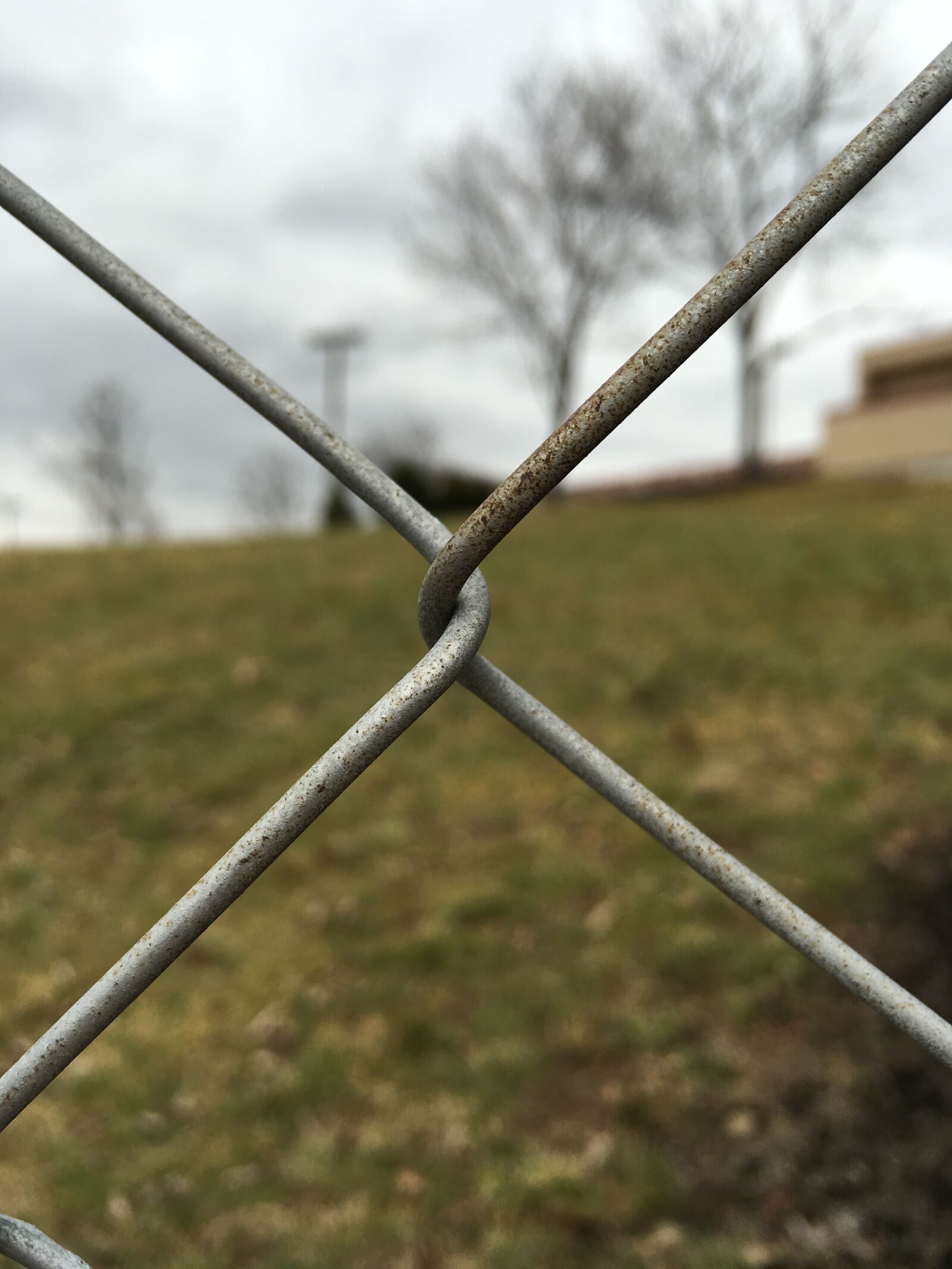 Apple iPhone 6s sample photo. Nicolas, desarno photography