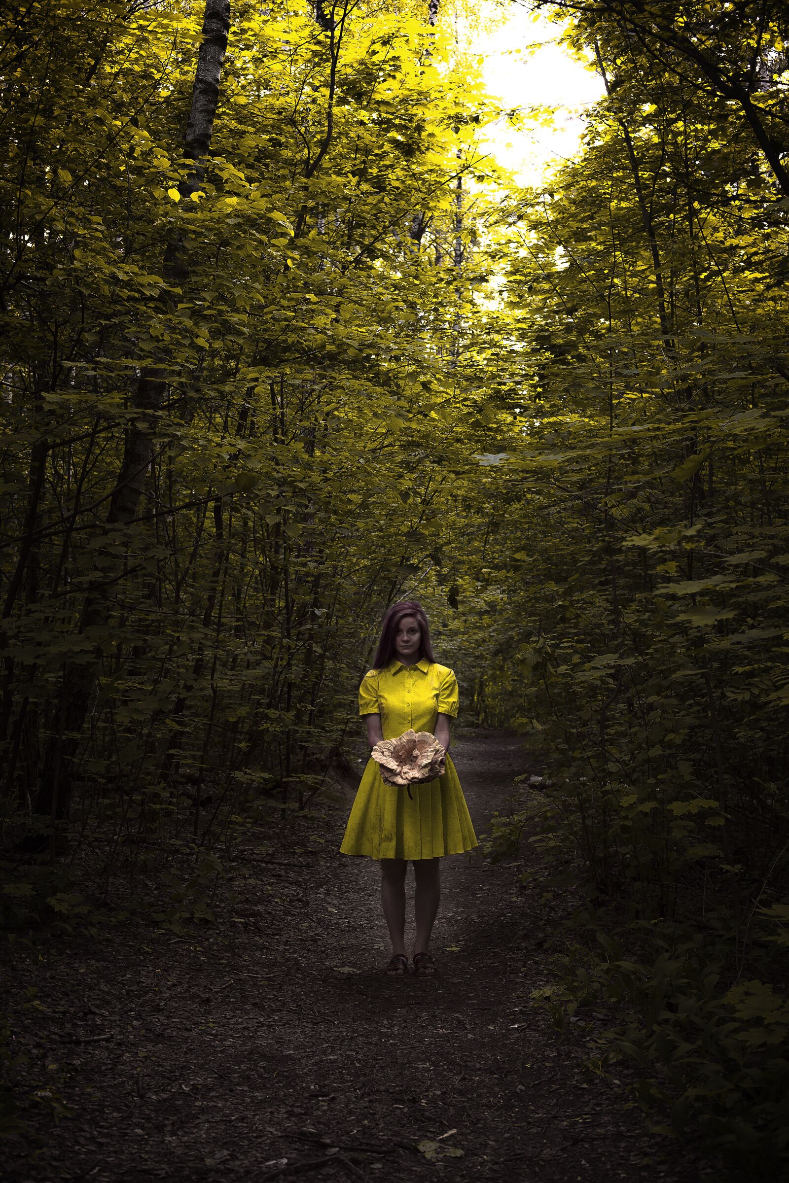Canon EOS 6D + Canon EF 50mm F1.4 USM sample photo. Alice, girl, dress photography