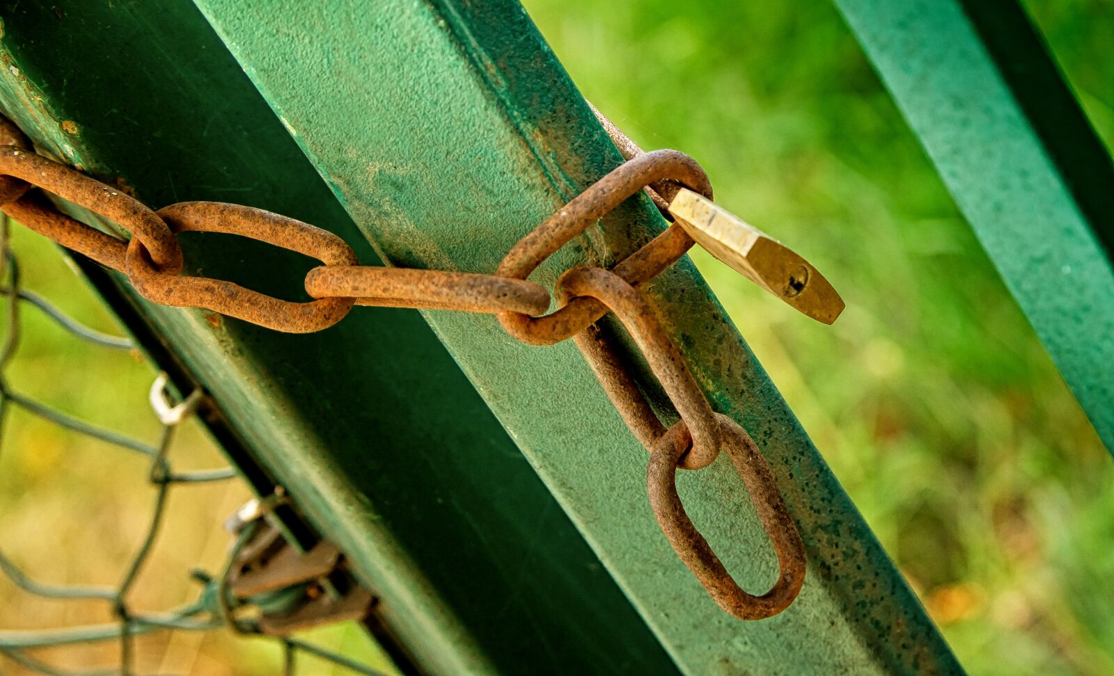 Sony SLT-A55 (SLT-A55V) sample photo. Fence, chain, padlock photography