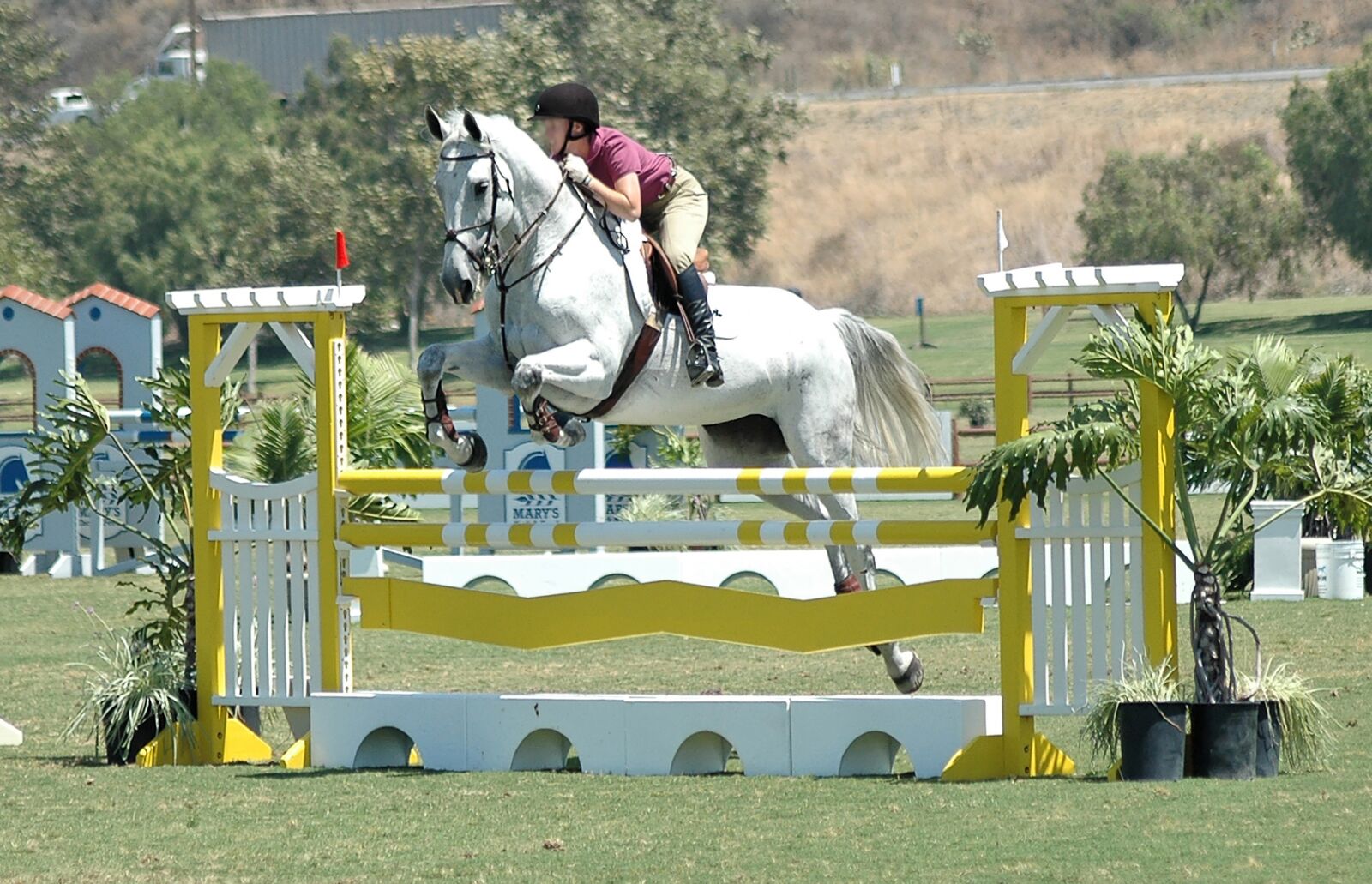 Nikon D70s sample photo. Horse, horseback, ride photography