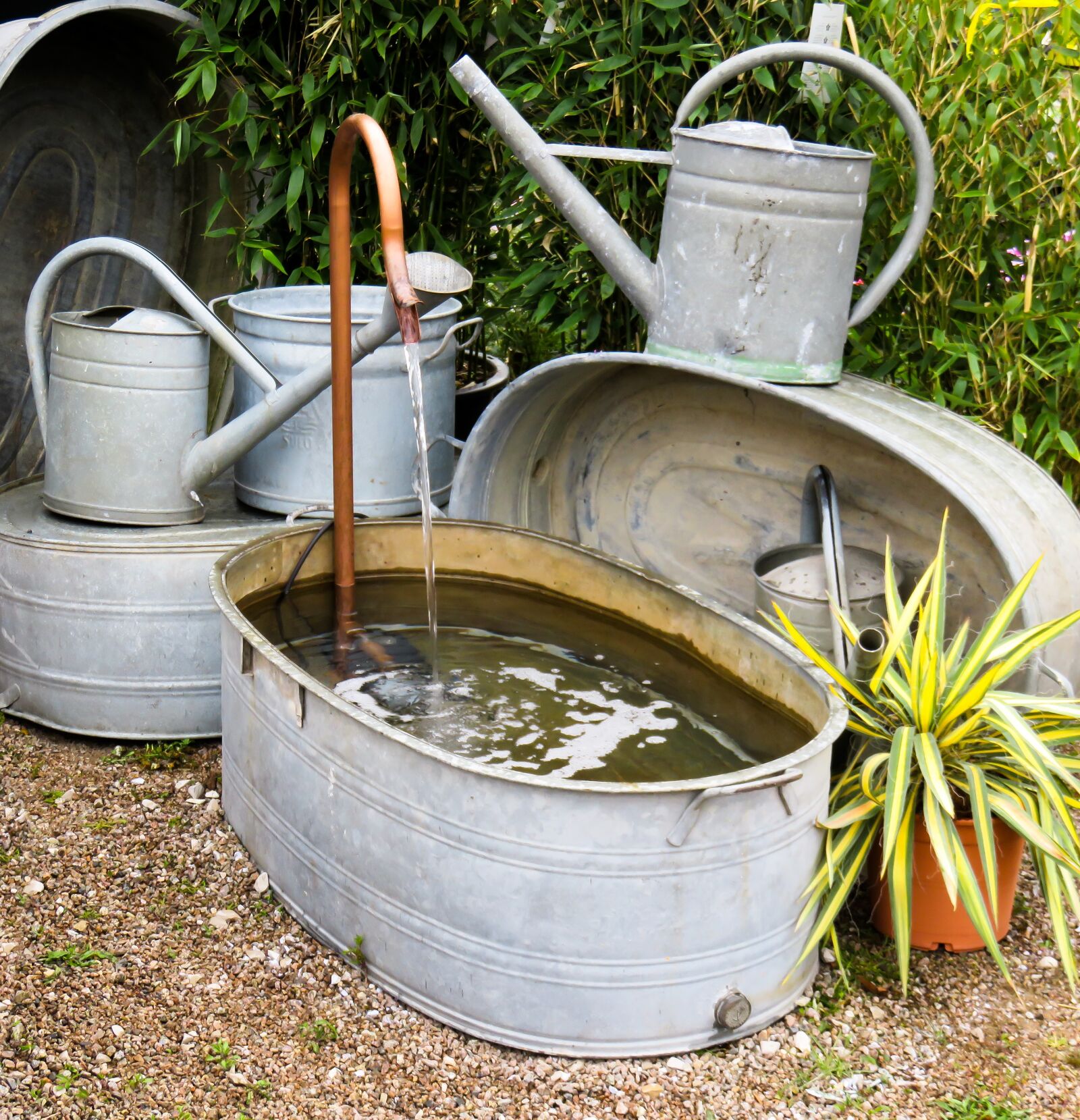 Canon PowerShot SX710 HS sample photo. Garden, bath, watering can photography