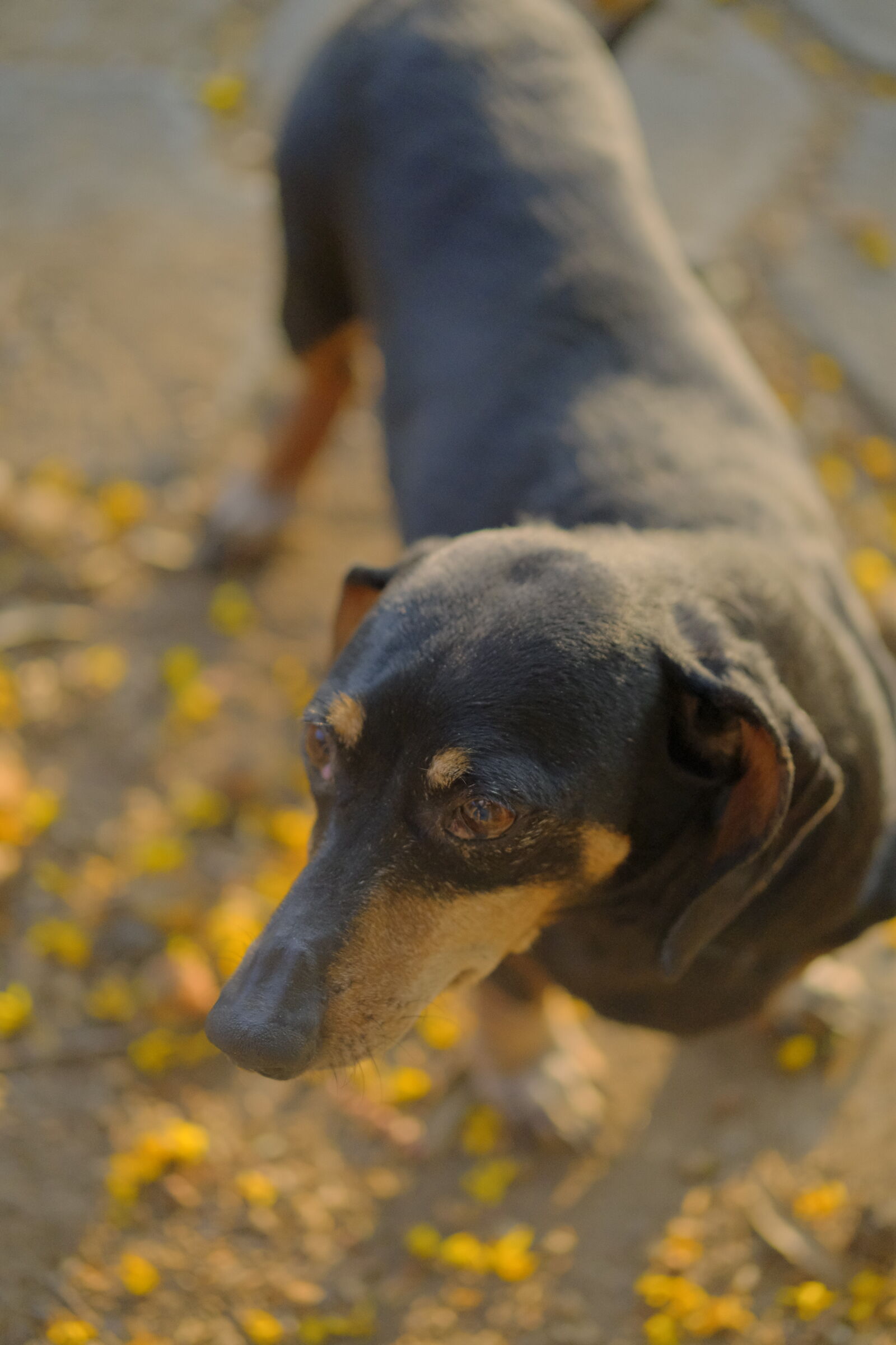 Fujifilm XF 50mm F2 R WR sample photo