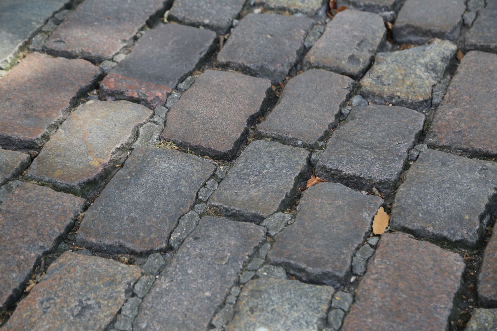 Canon EF 24-105mm F4L IS USM sample photo. London, tower, floor photography