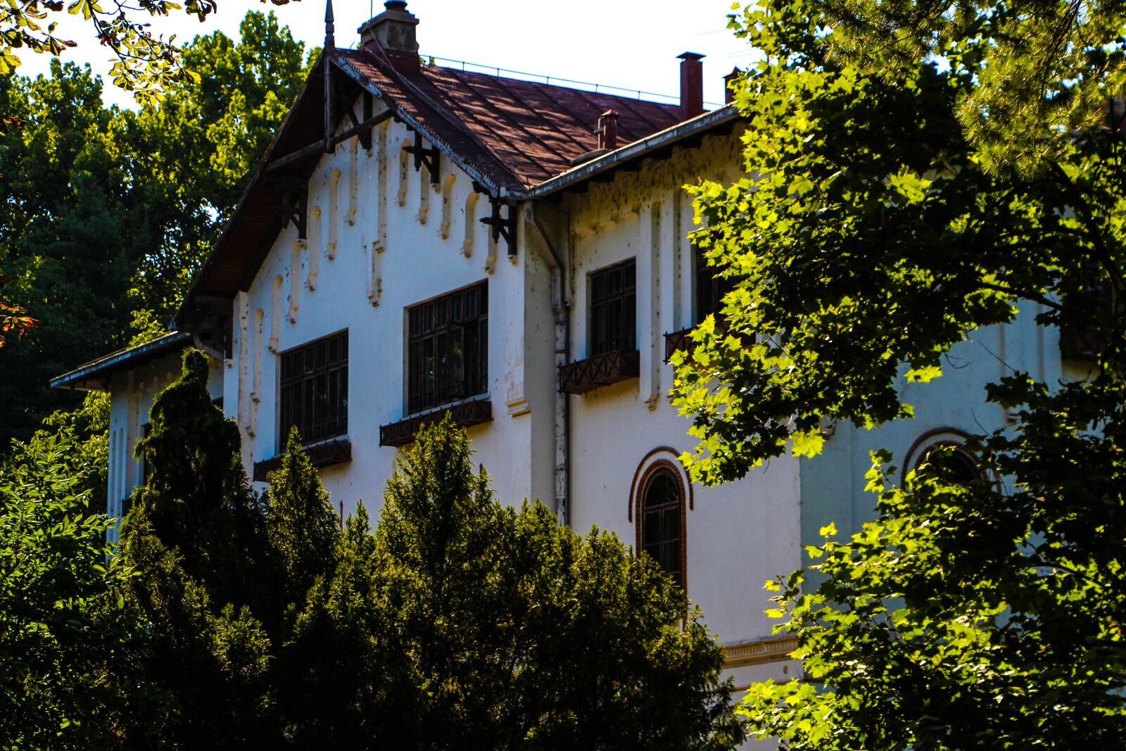 Canon EOS 650D (EOS Rebel T4i / EOS Kiss X6i) sample photo. The old house, forest photography
