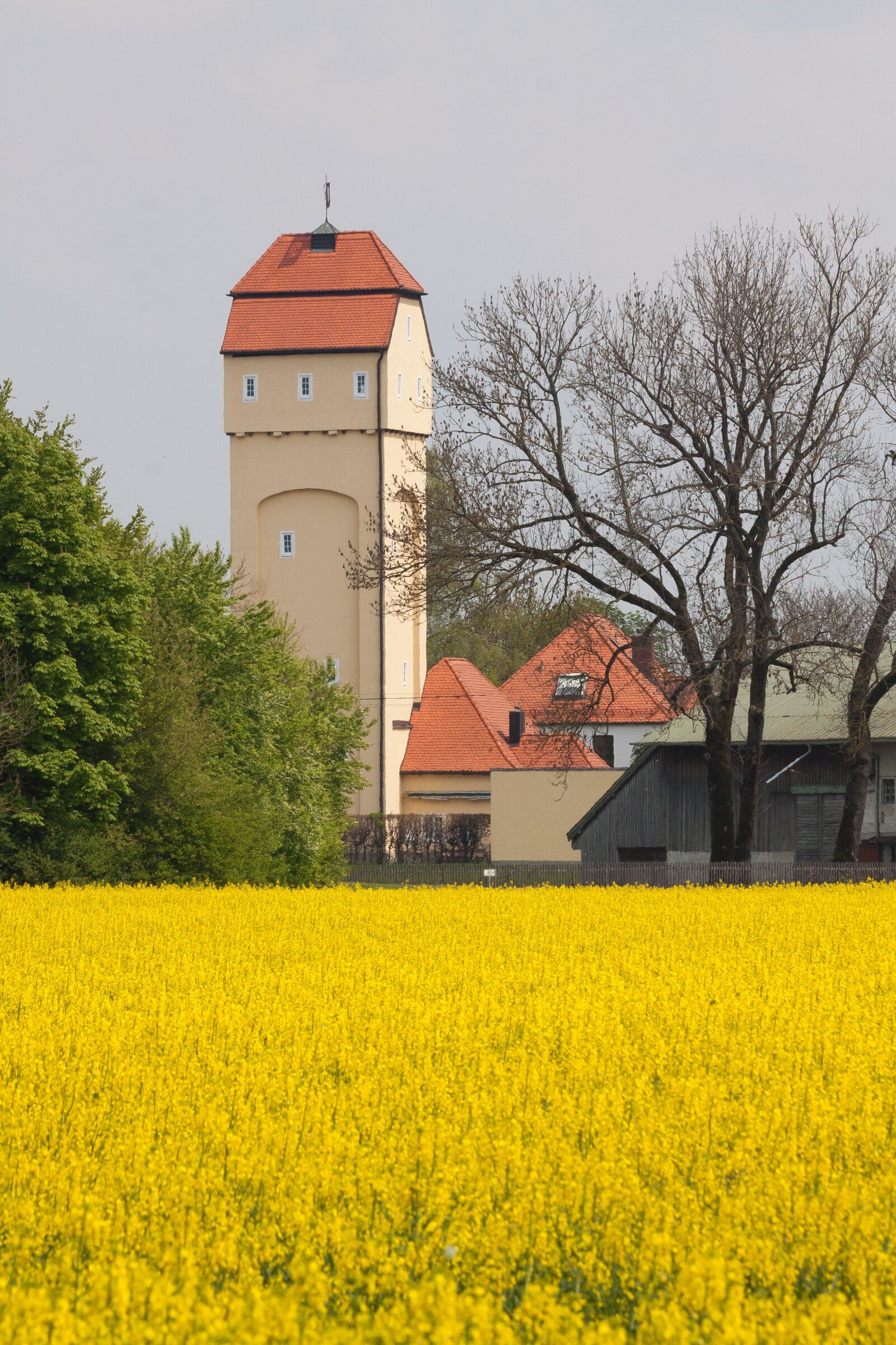 Canon EOS 50D sample photo. Water tower, oilseed rape photography