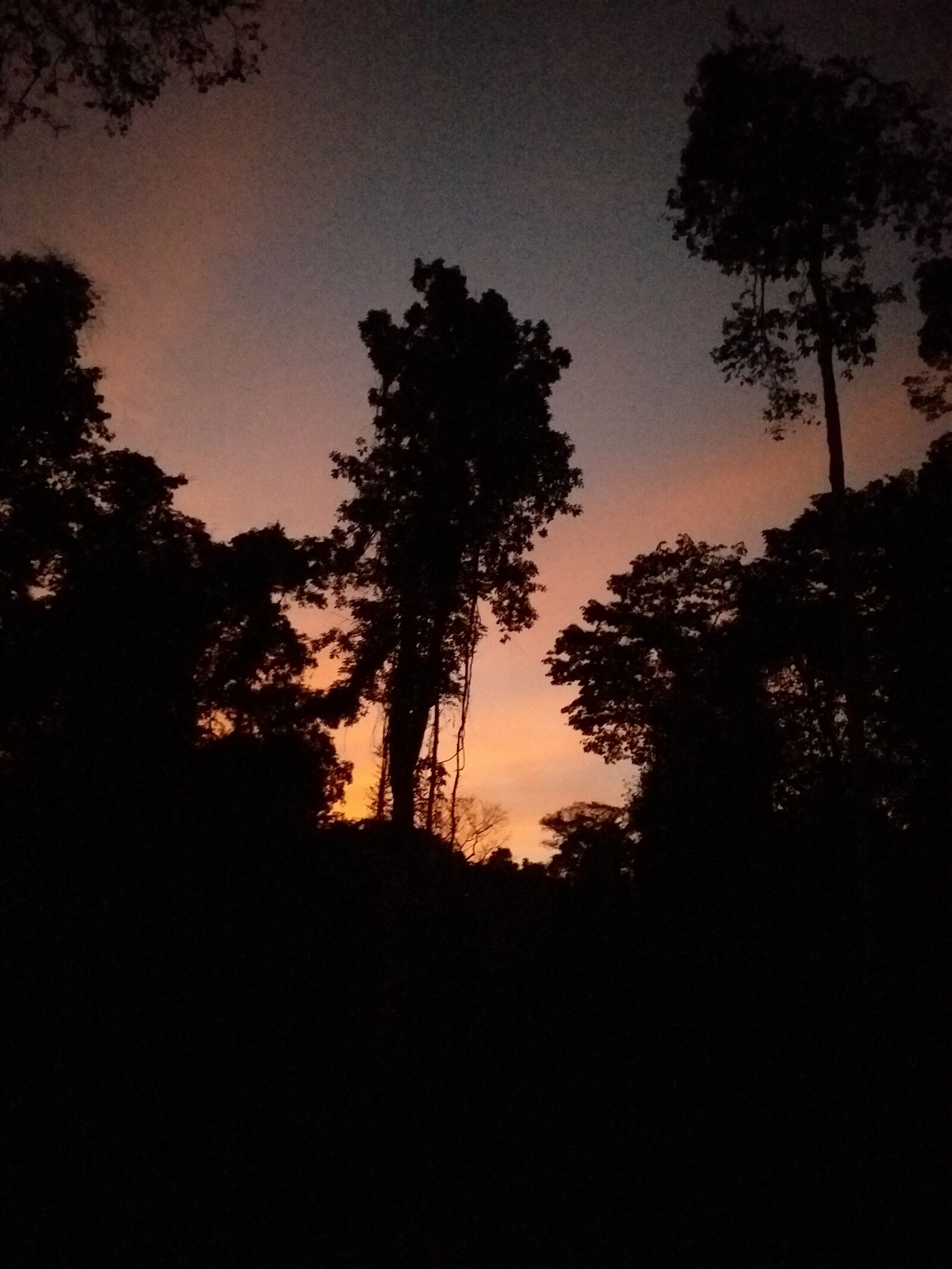 Samsung Galaxy J6+ sample photo. Amanecer, bosque, cielo photography