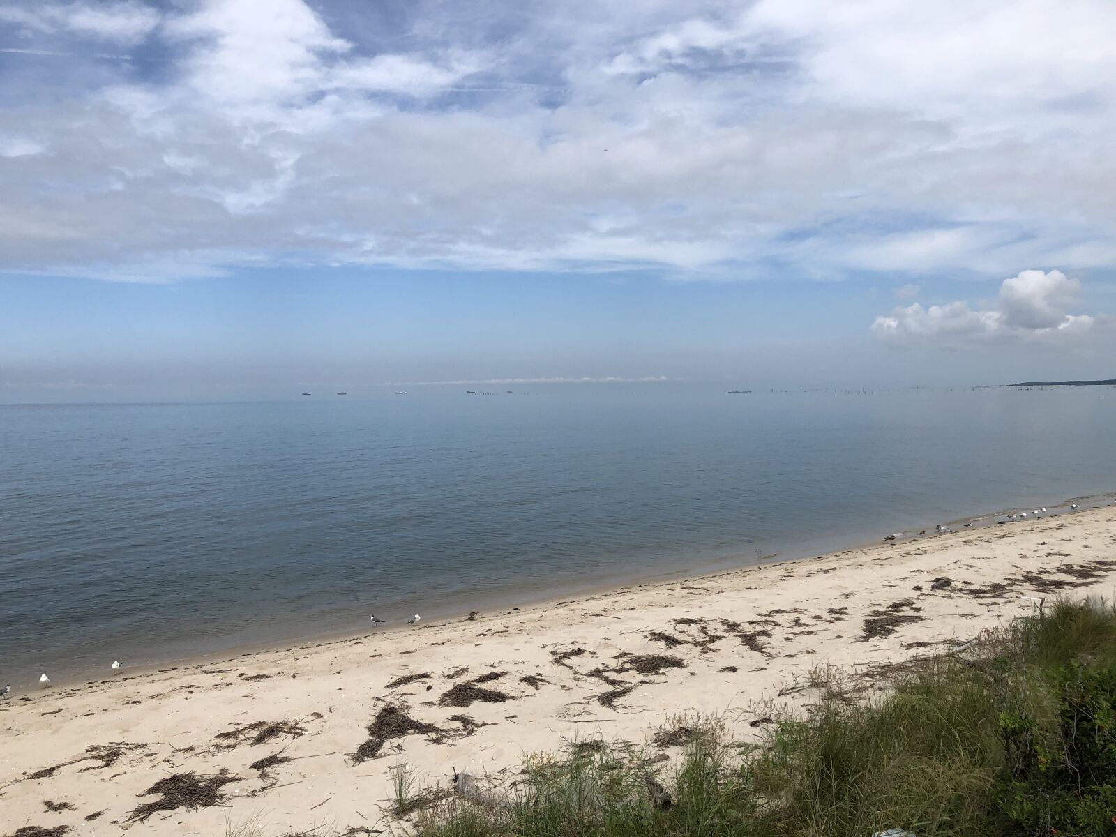 iPhone 8 Plus back dual camera 3.99mm f/1.8 sample photo. Ocean, beach, sea photography