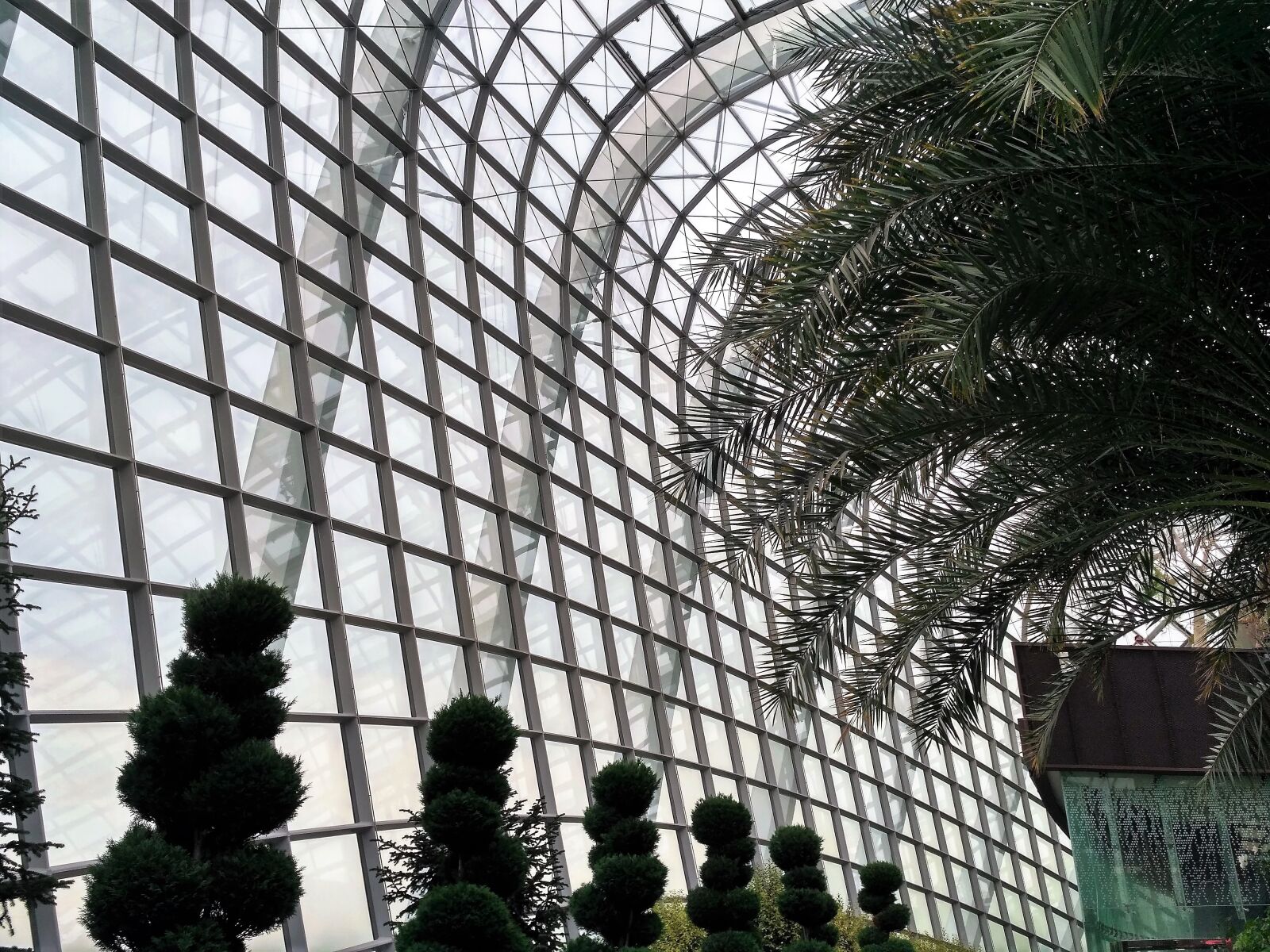 Xiaomi Redmi 3S sample photo. Windows, architecture, glass house photography