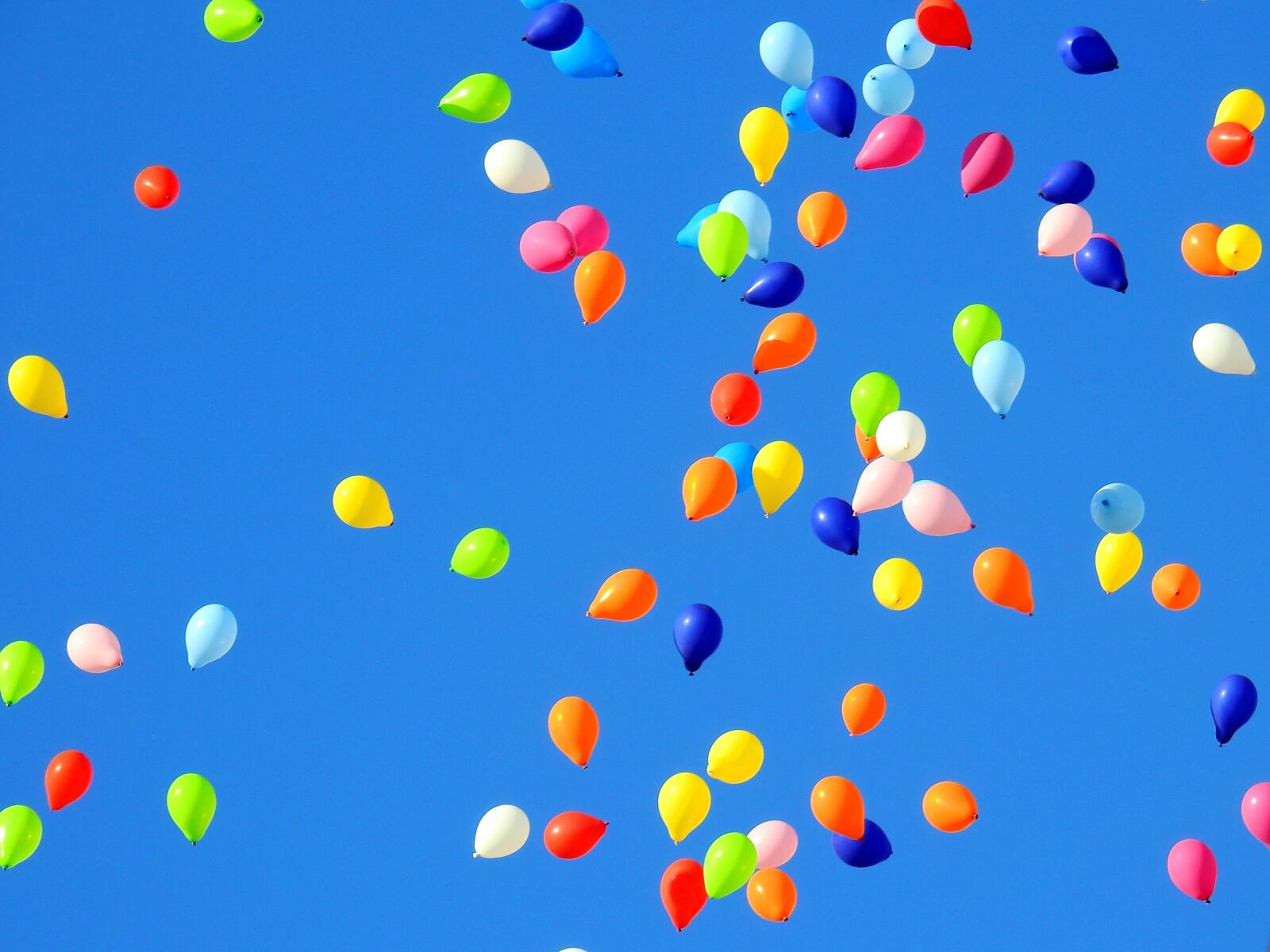 Nikon Coolpix P900 sample photo. Balloon, party, carnival photography