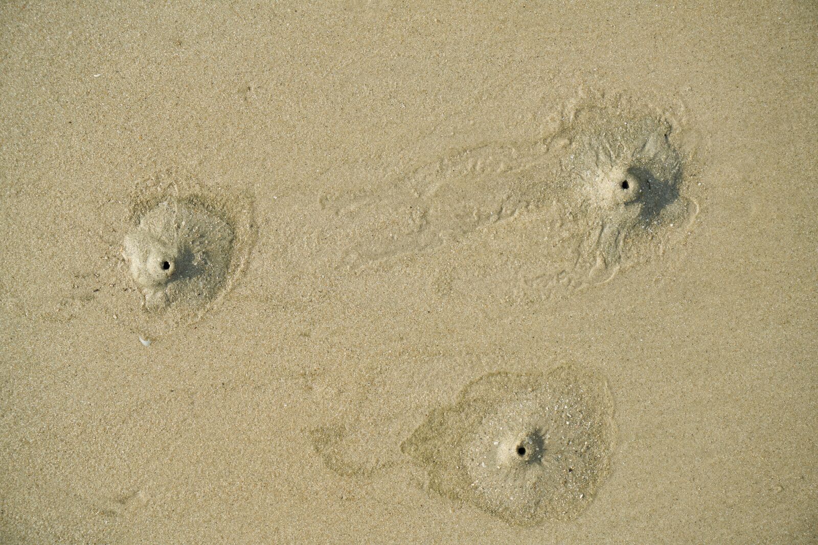 Sony a7R II sample photo. Texture, sand, beach photography
