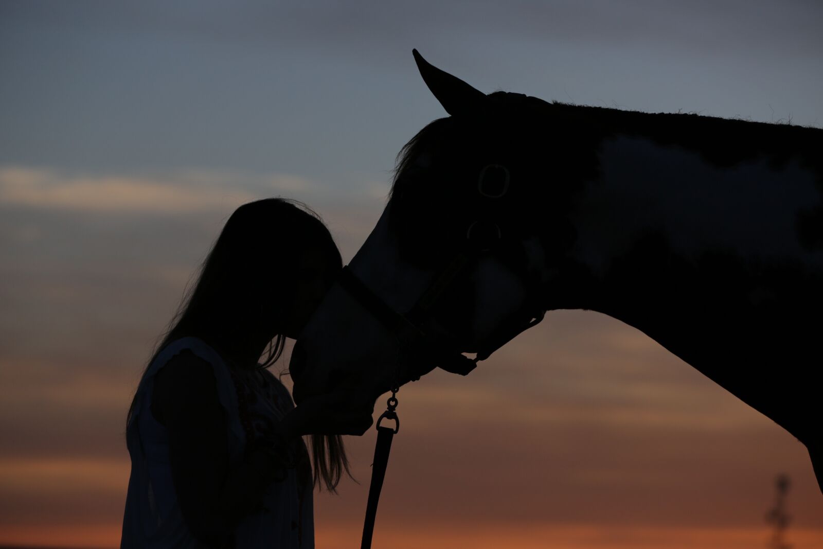 Canon EOS 5D Mark III sample photo. Dusk, silhouette, love photography