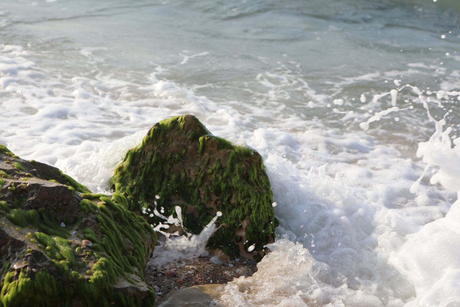 Canon EOS 5D Mark IV sample photo. Sea, water, beach photography