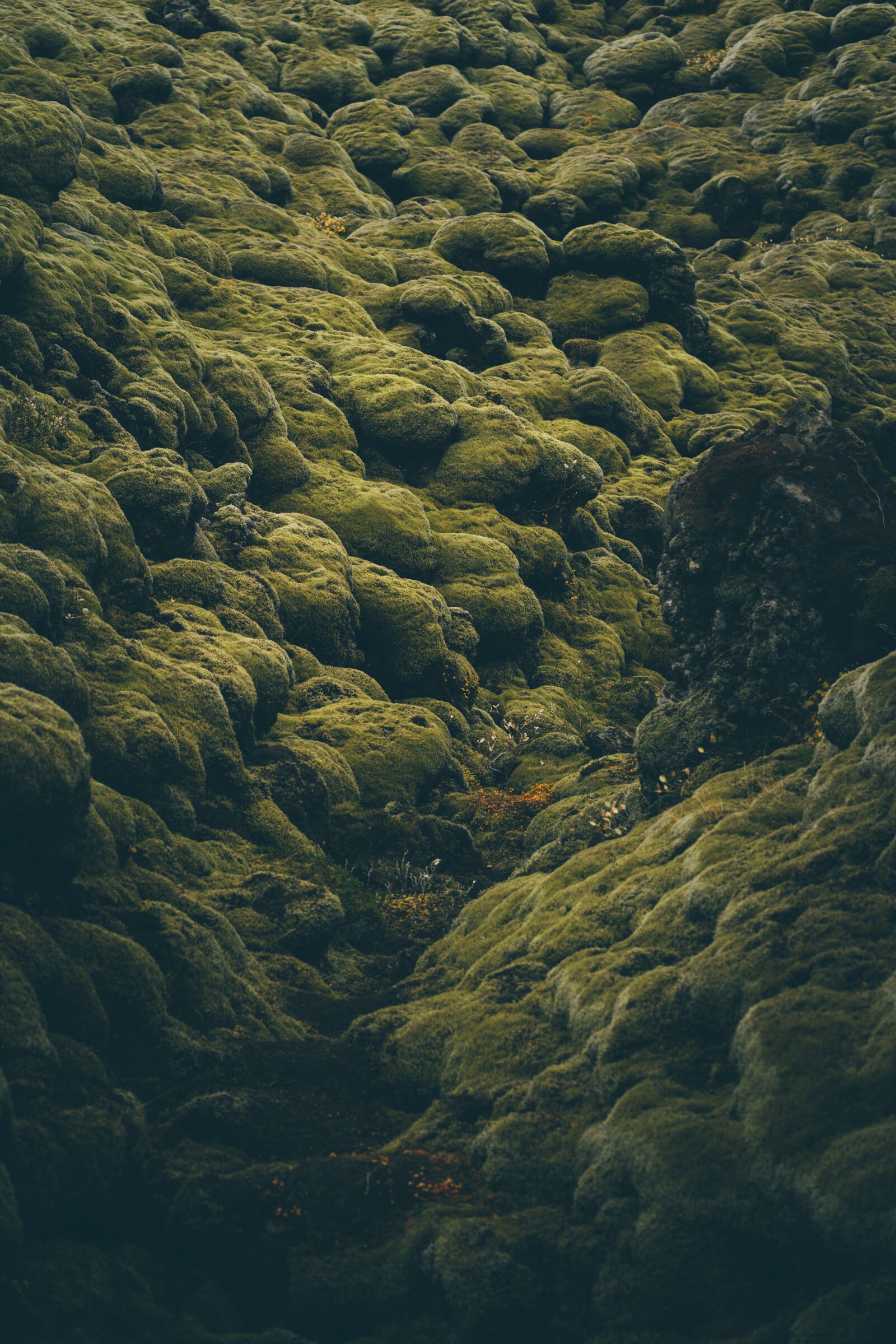 Sony a7R III sample photo. Nature, photography, iceland photography