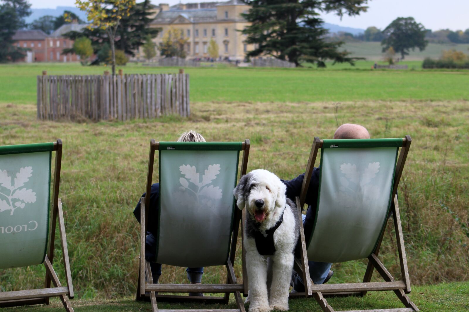 Canon EF 75-300mm f/4-5.6 sample photo. Enjoying the view, deckchair photography