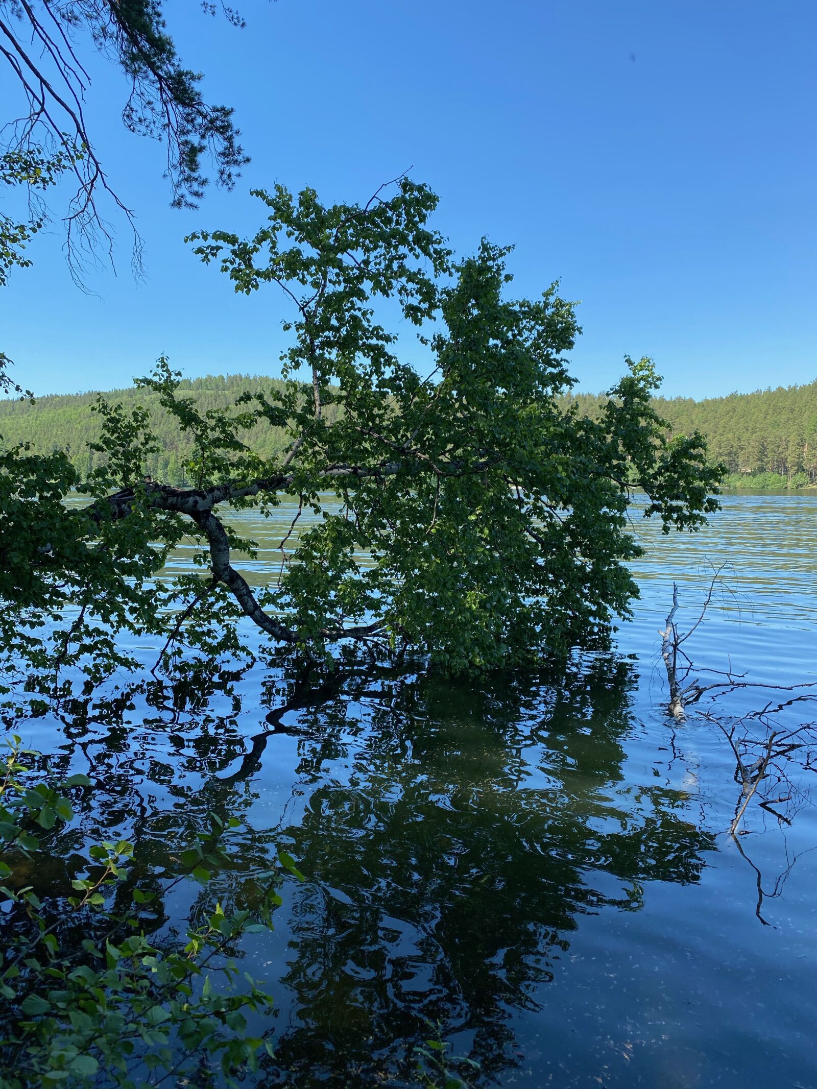 Apple iPhone 11 Pro sample photo. Forest, lake, mountains photography